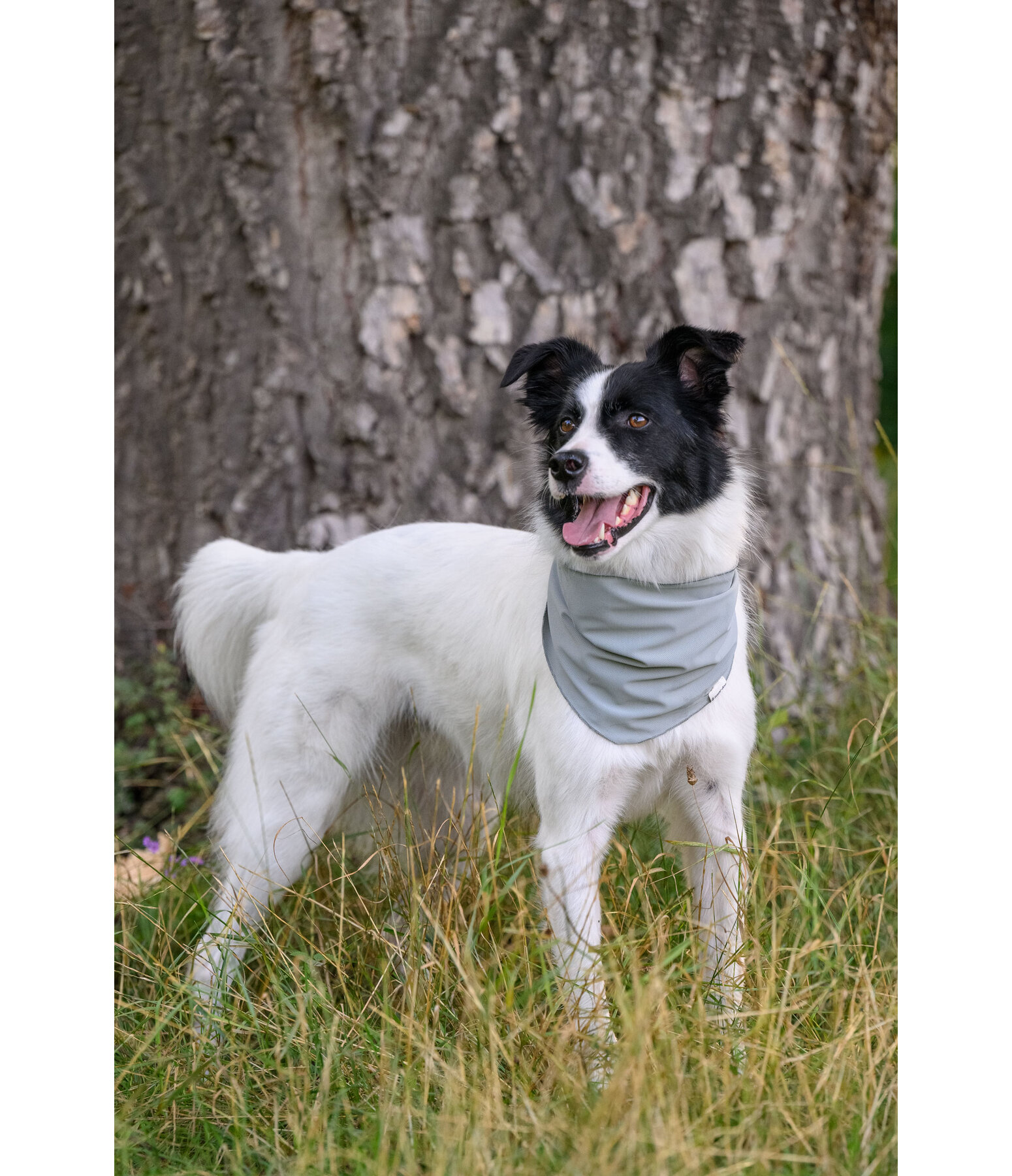 Bandana rinfrescante Frostie