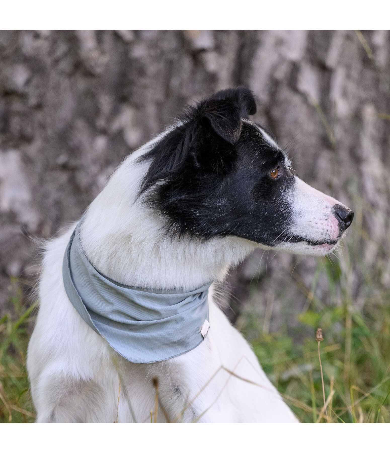 Bandana rinfrescante Frostie