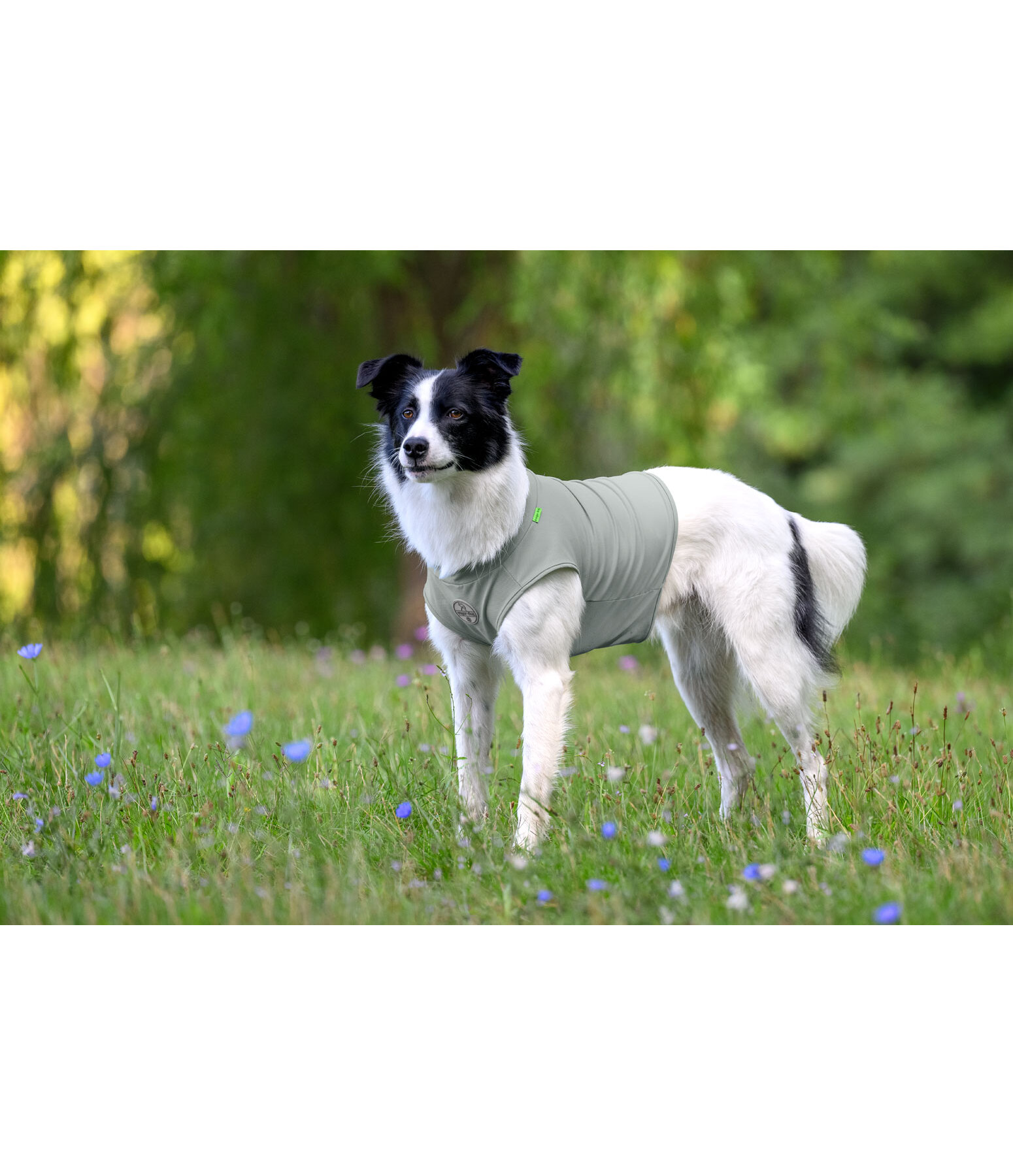 T-shirt rinfrescante per cani Frostie