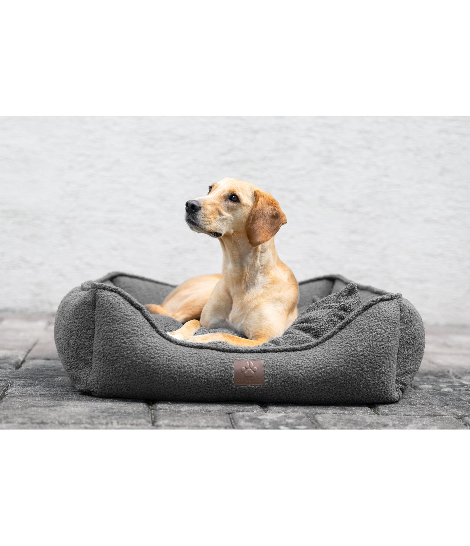 Cuccia per cani Square