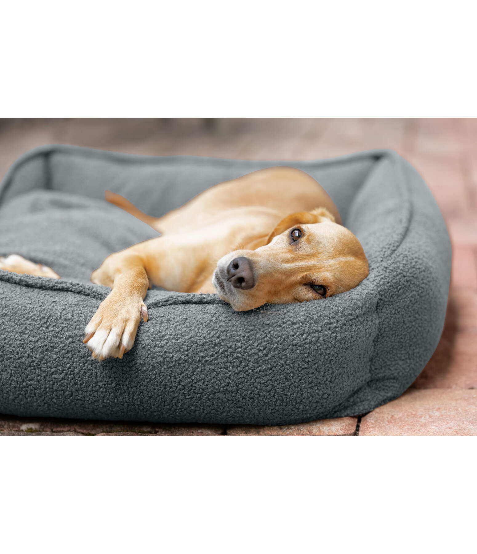 Cuccia per cani Square