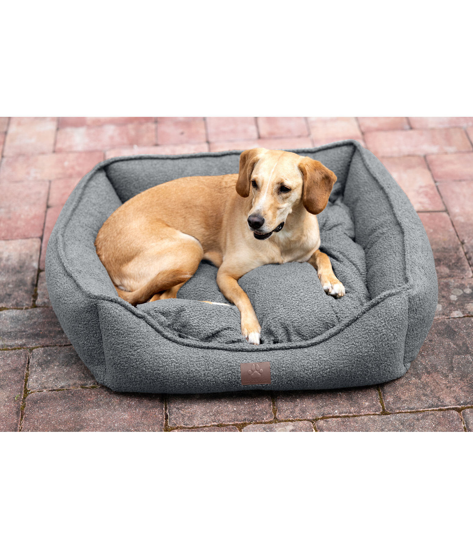 Cuccia per cani Square