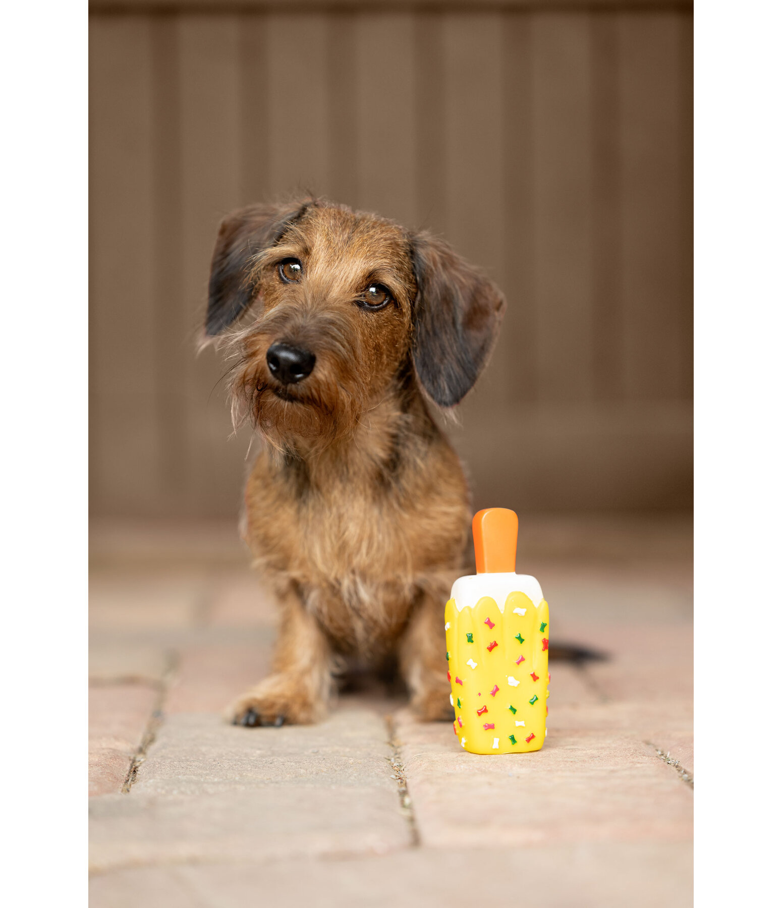 Giocattolo per cani Stecco gelato con squeaker