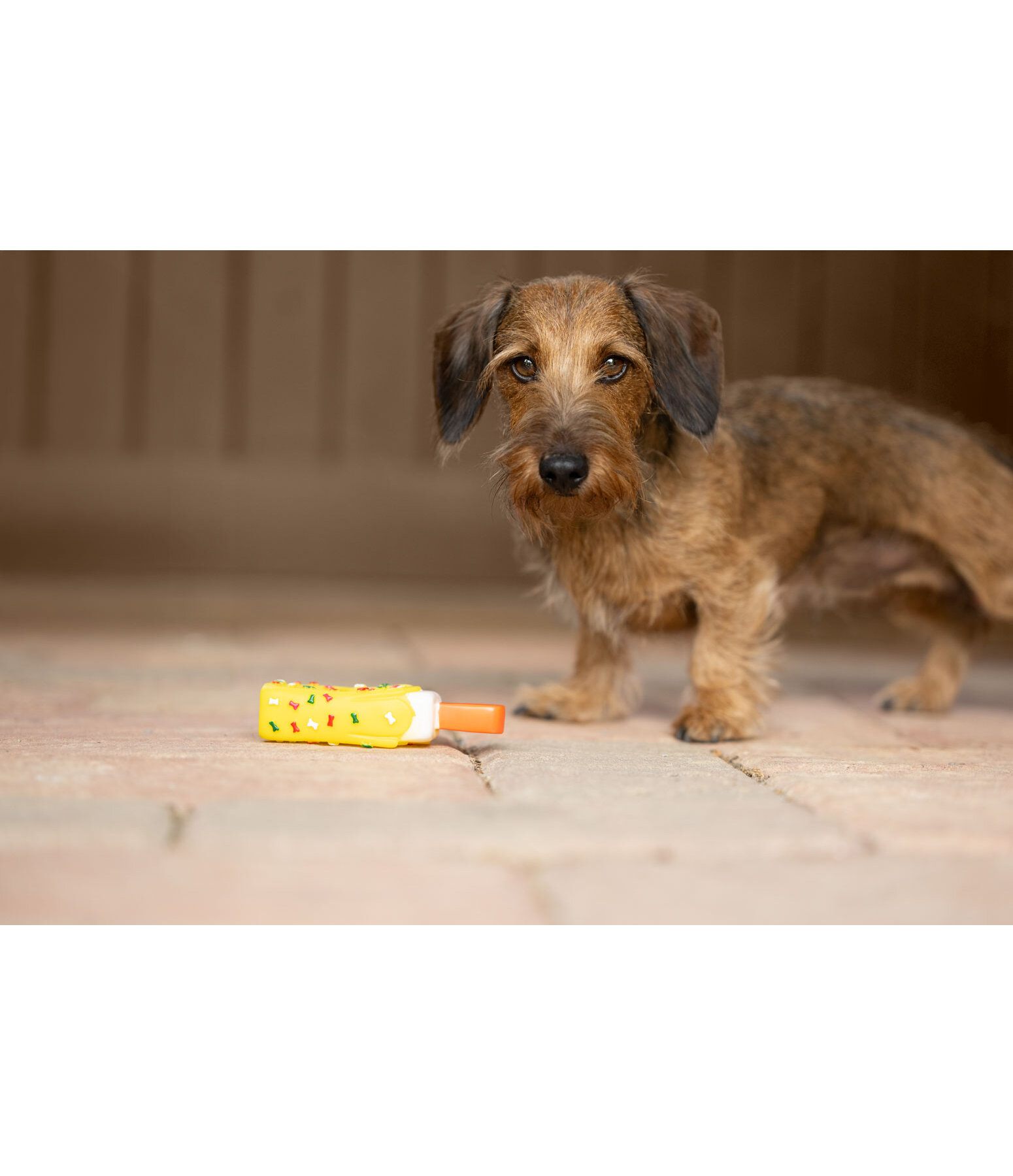 Giocattolo per cani Stecco gelato con squeaker