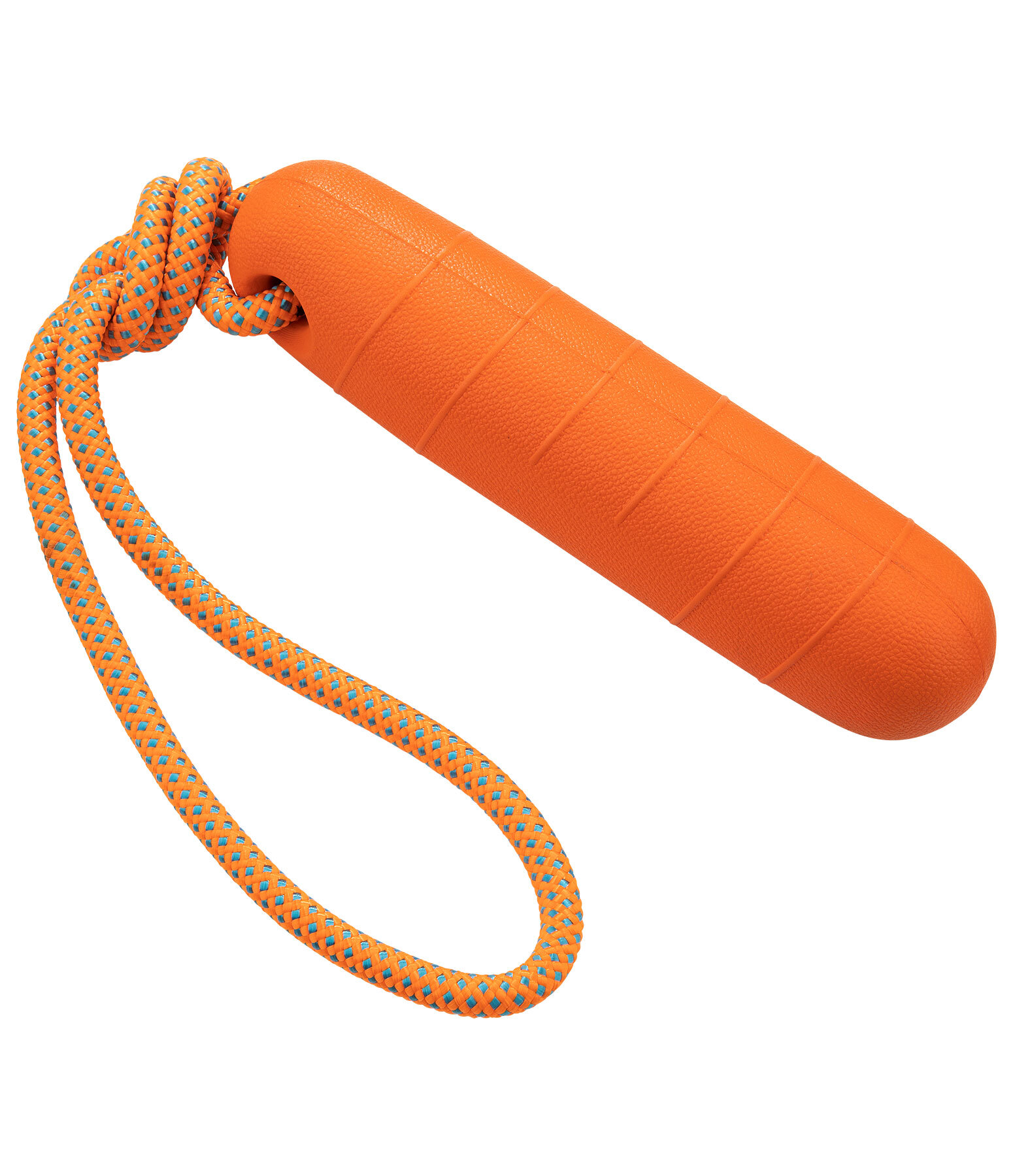 Gioco acquatico per cani