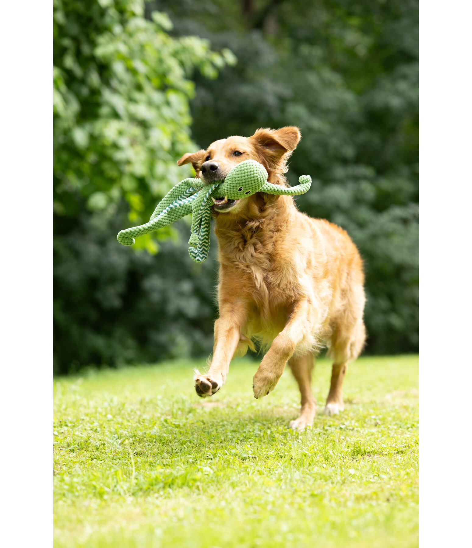 Giocattolo per cani Octopus