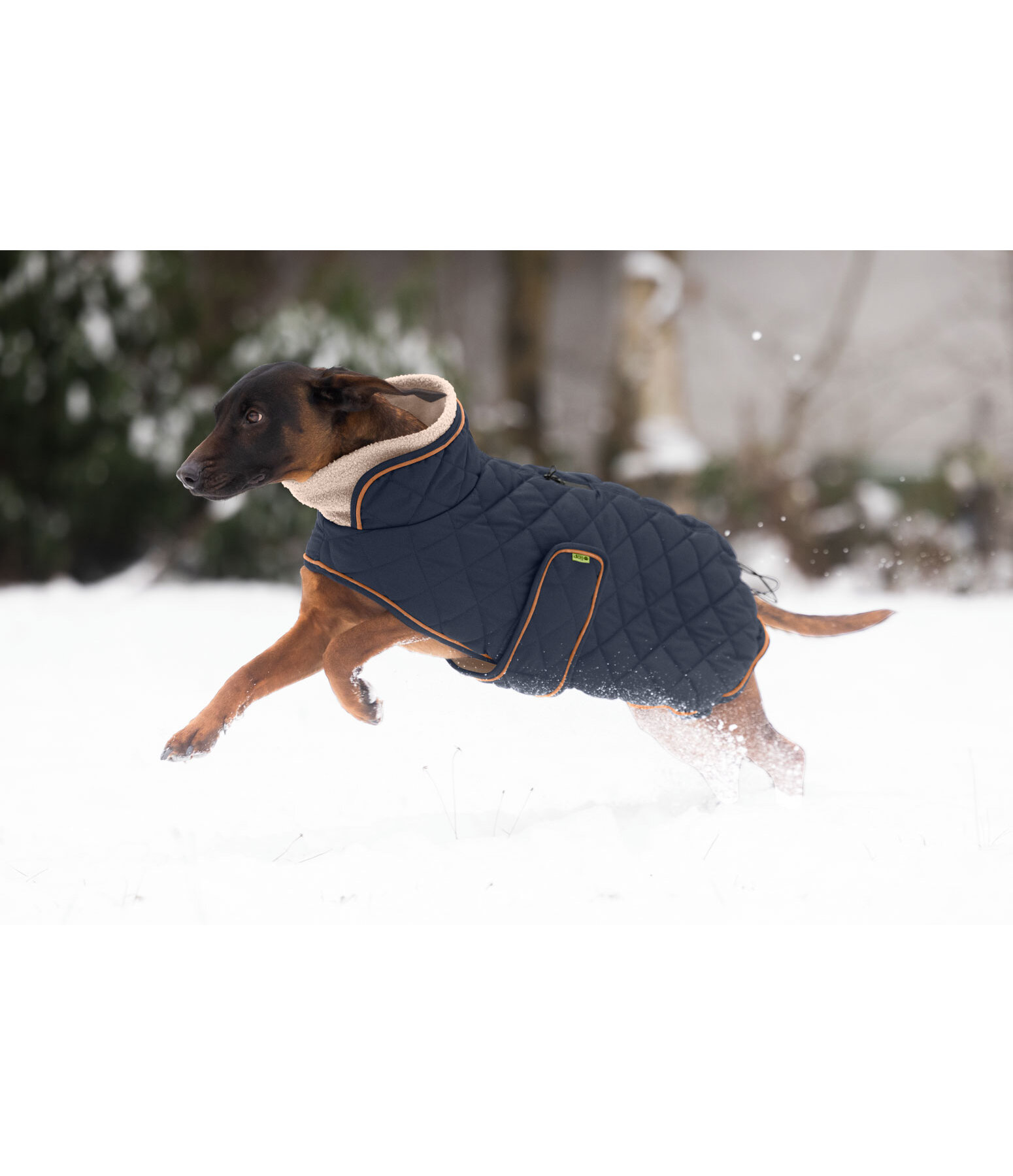 Cappotto trapuntato per cani Holly con pelliccia sintetica