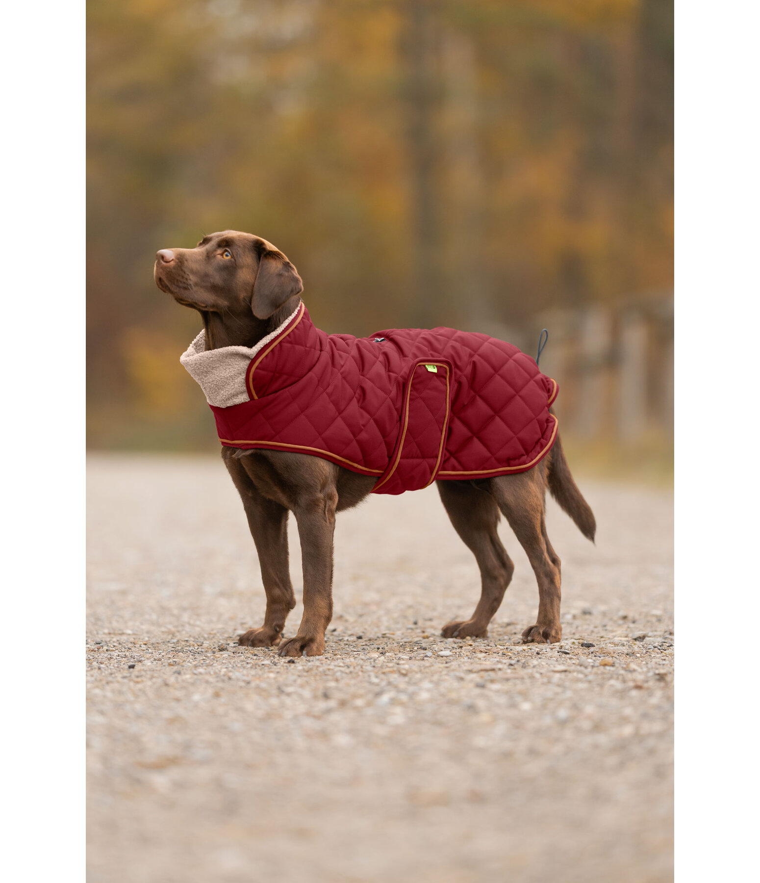 Cappotto trapuntato per cani Holly con pelliccia sintetica