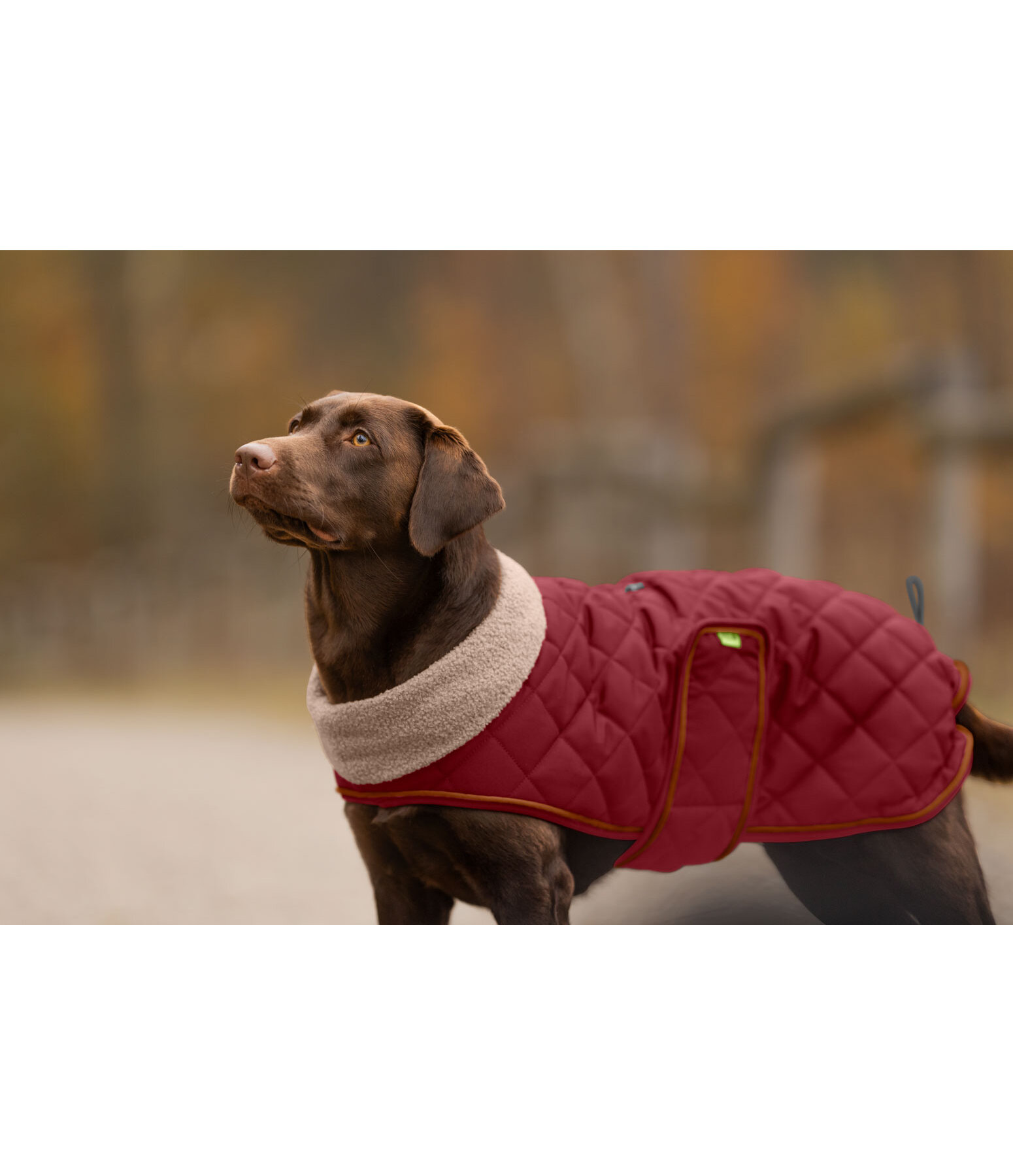 Cappotto trapuntato per cani Holly con pelliccia sintetica