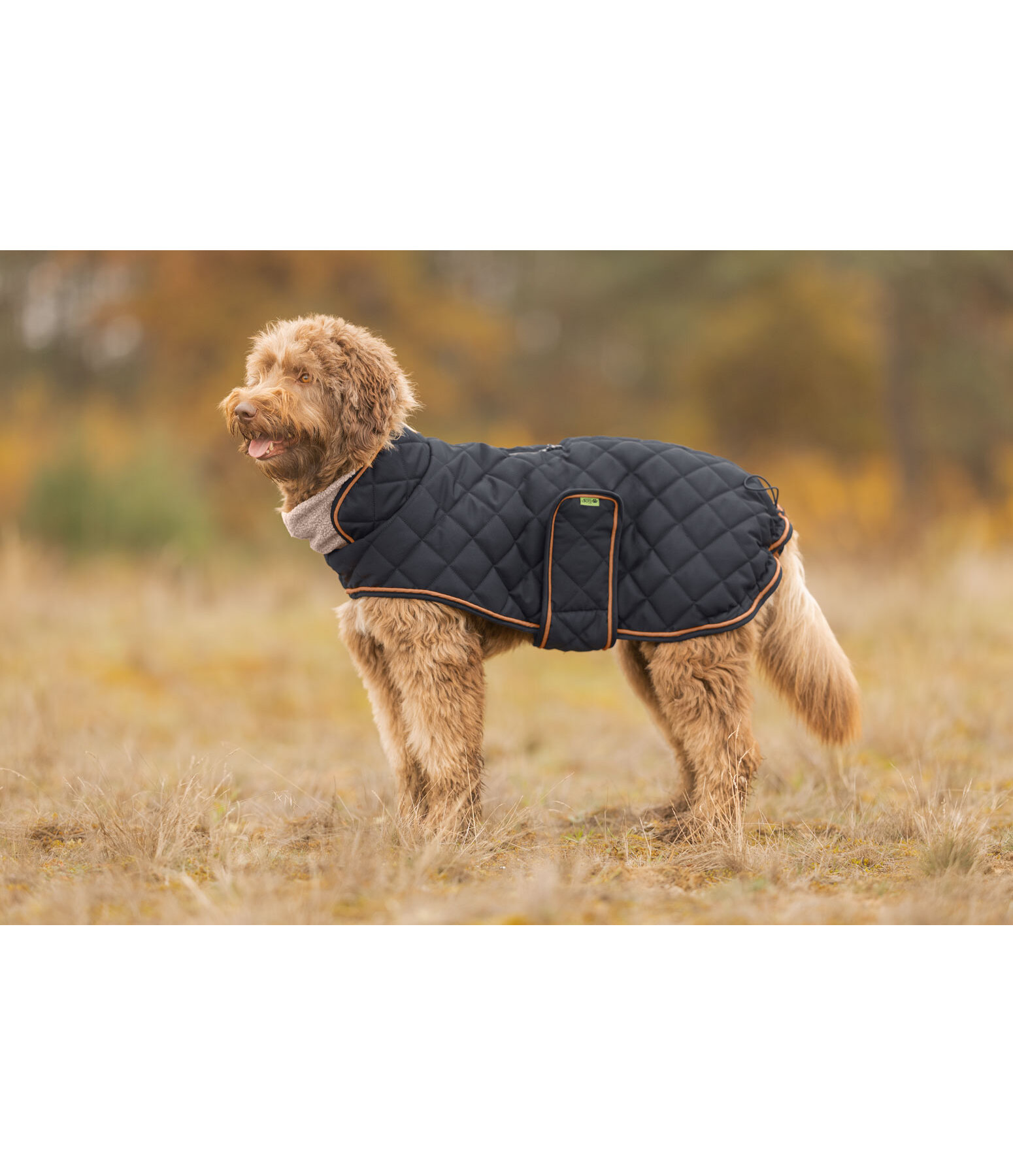 Cappotto trapuntato per cani Holly con pelliccia sintetica
