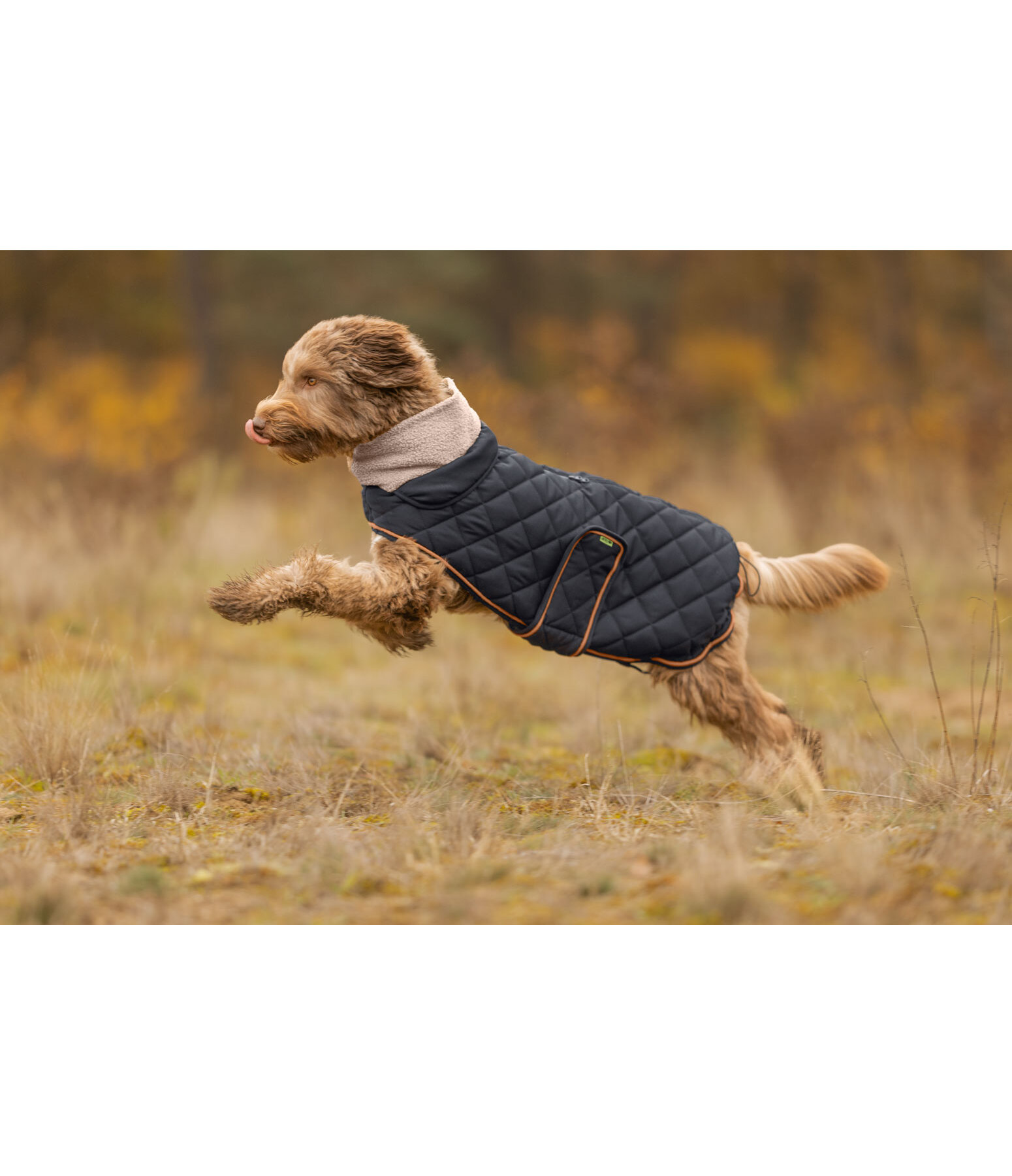 Cappotto trapuntato per cani Holly con pelliccia sintetica