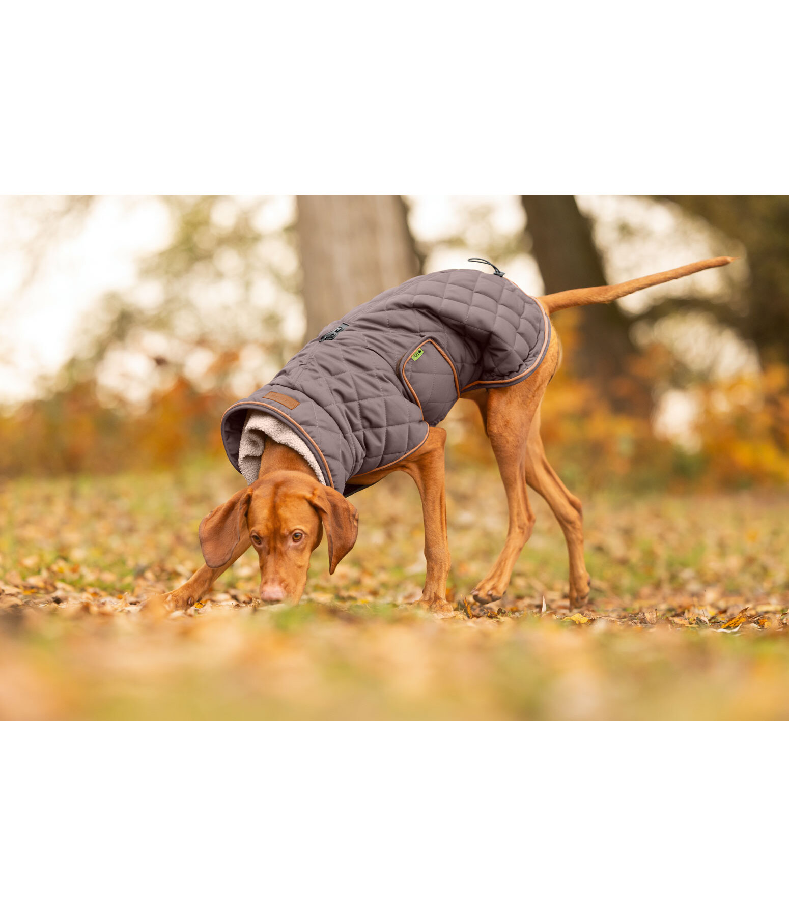 Cappotto trapuntato per cani Holly con pelliccia sintetica