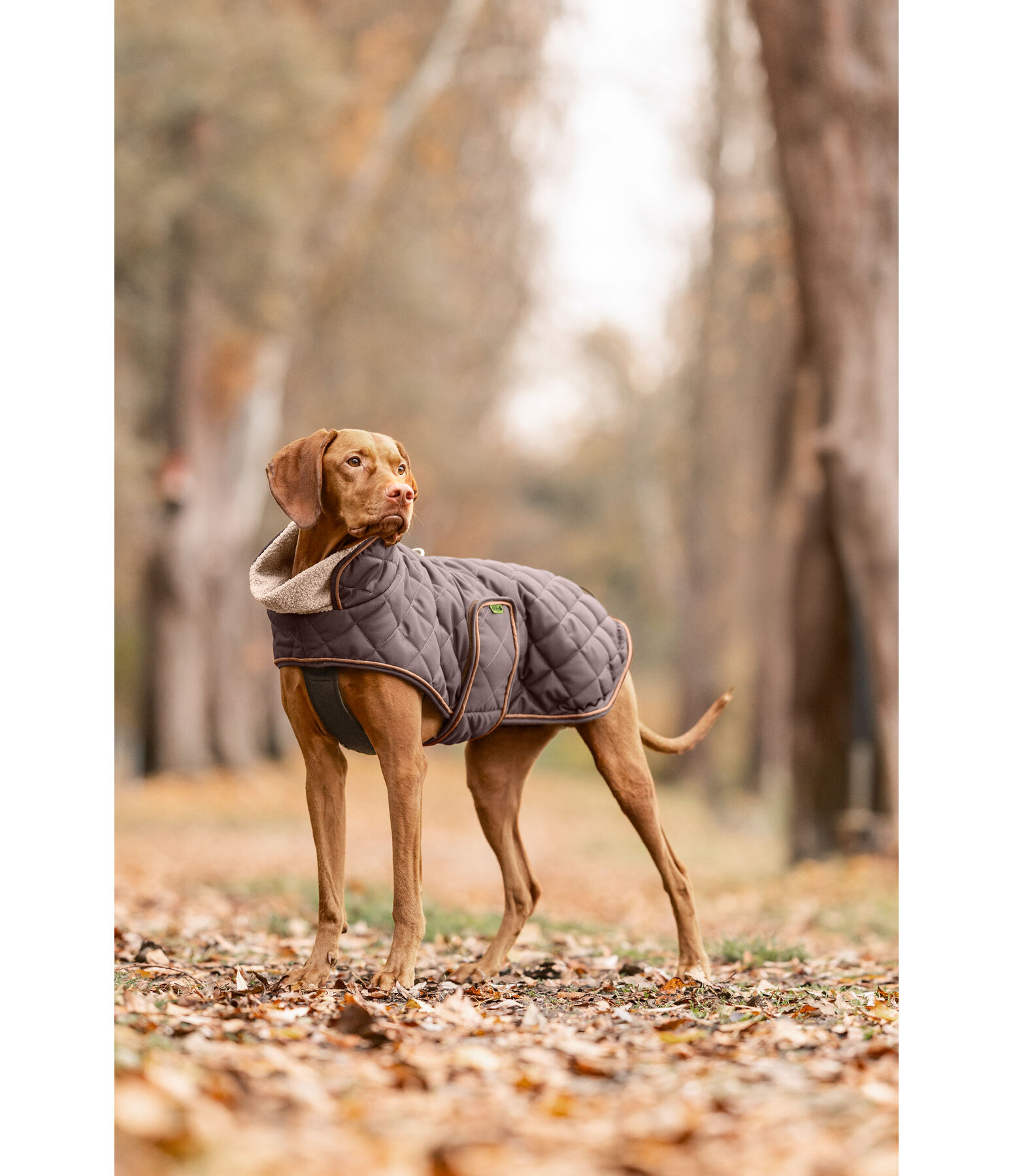 Cappotto trapuntato per cani Holly con pelliccia sintetica