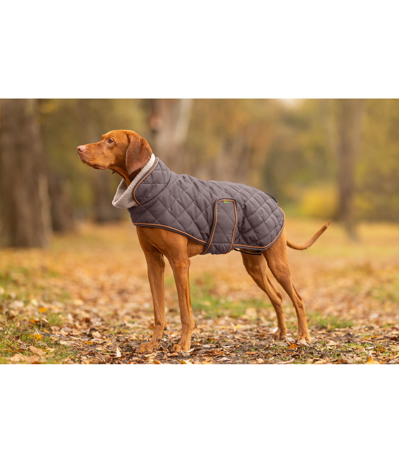 Cappotto trapuntato per cani Holly con pelliccia sintetica