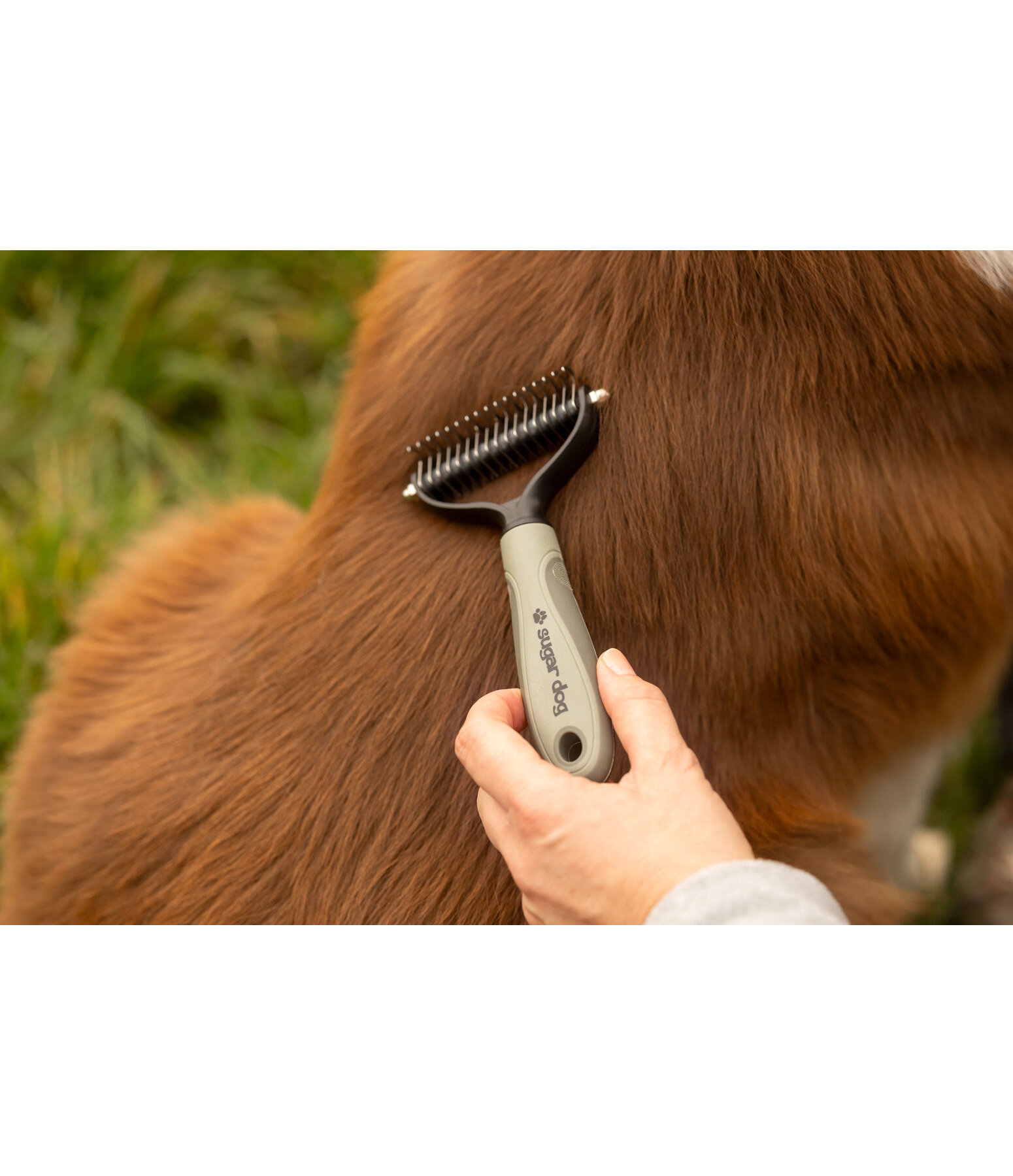Pettine districante Scotty