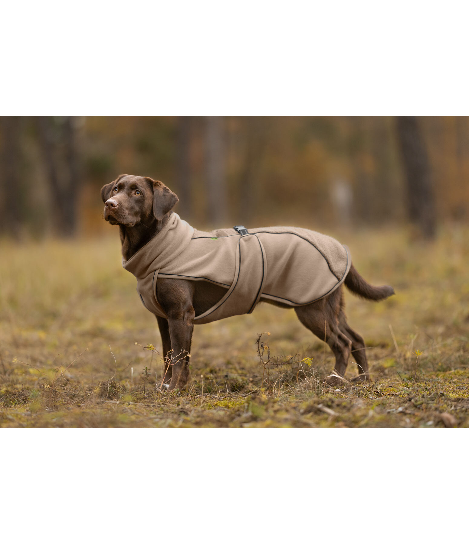 Cappotto con pelliccia sintetica per cani Frido