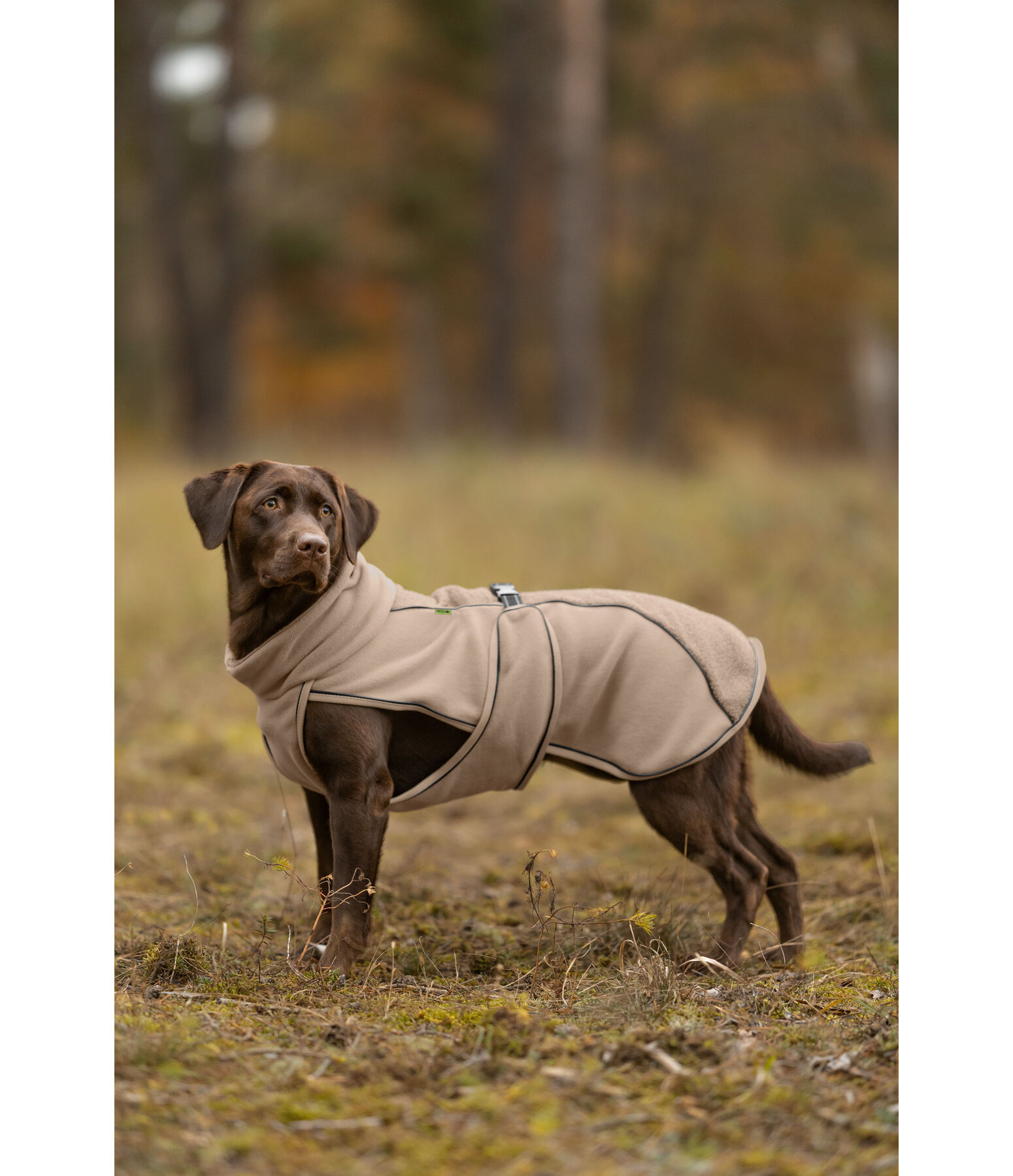 Cappotto con pelliccia sintetica per cani Frido
