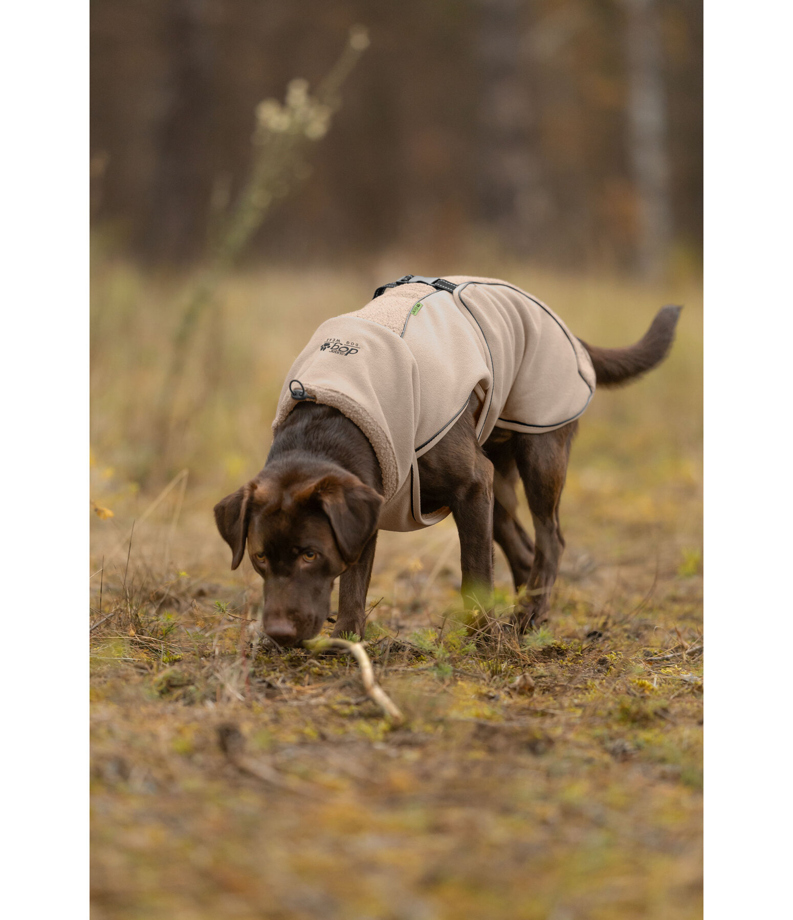 Cappotto con pelliccia sintetica per cani Frido
