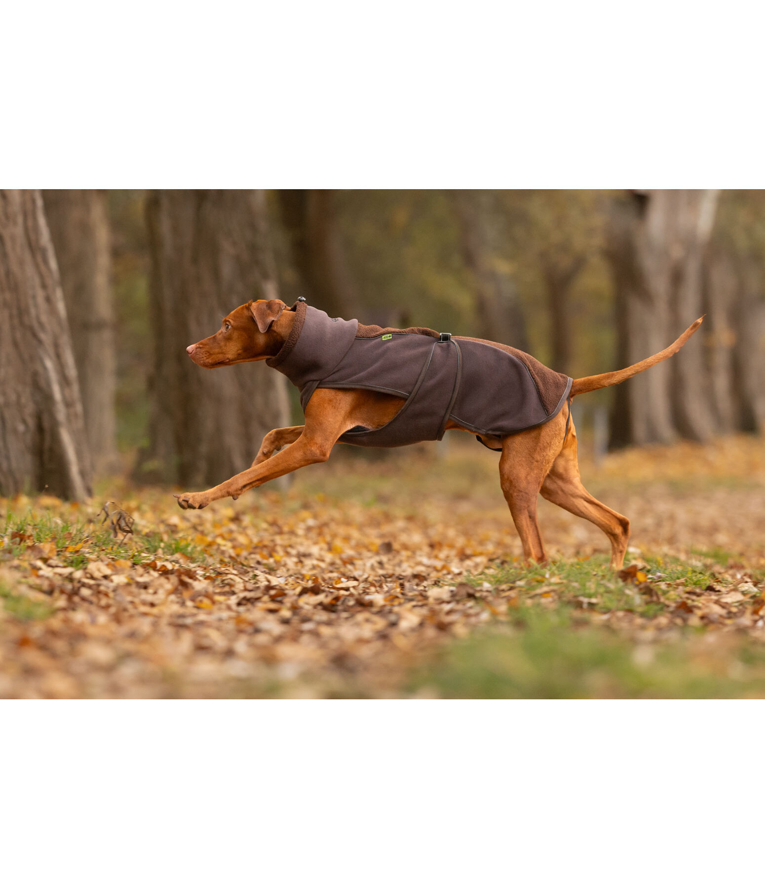 Cappotto con pelliccia sintetica per cani Frido