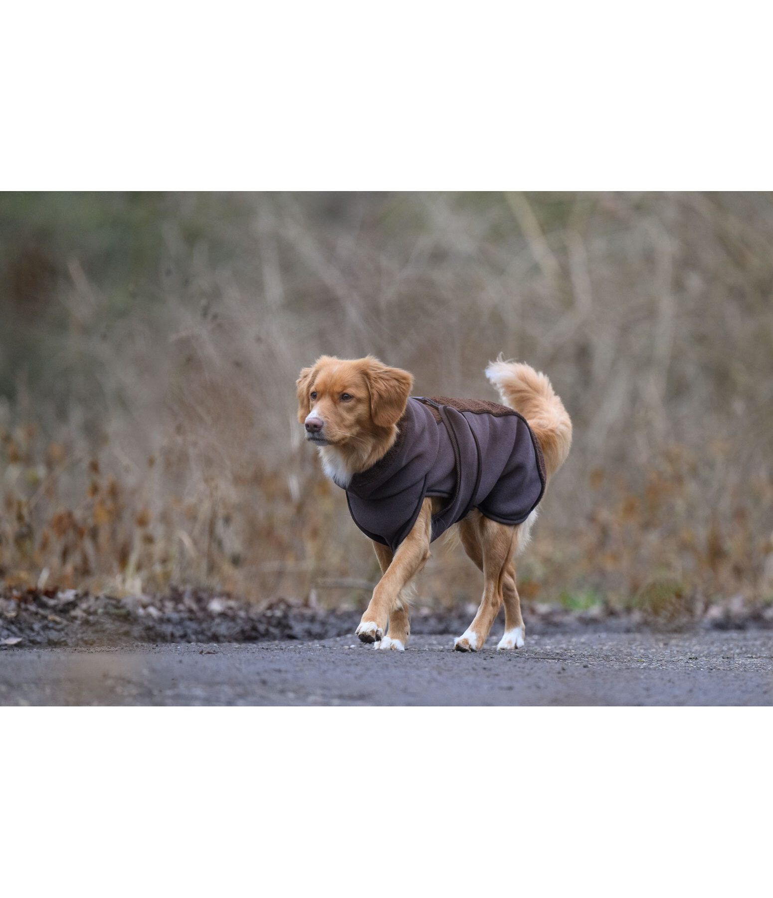 Cappotto con pelliccia sintetica per cani Frido
