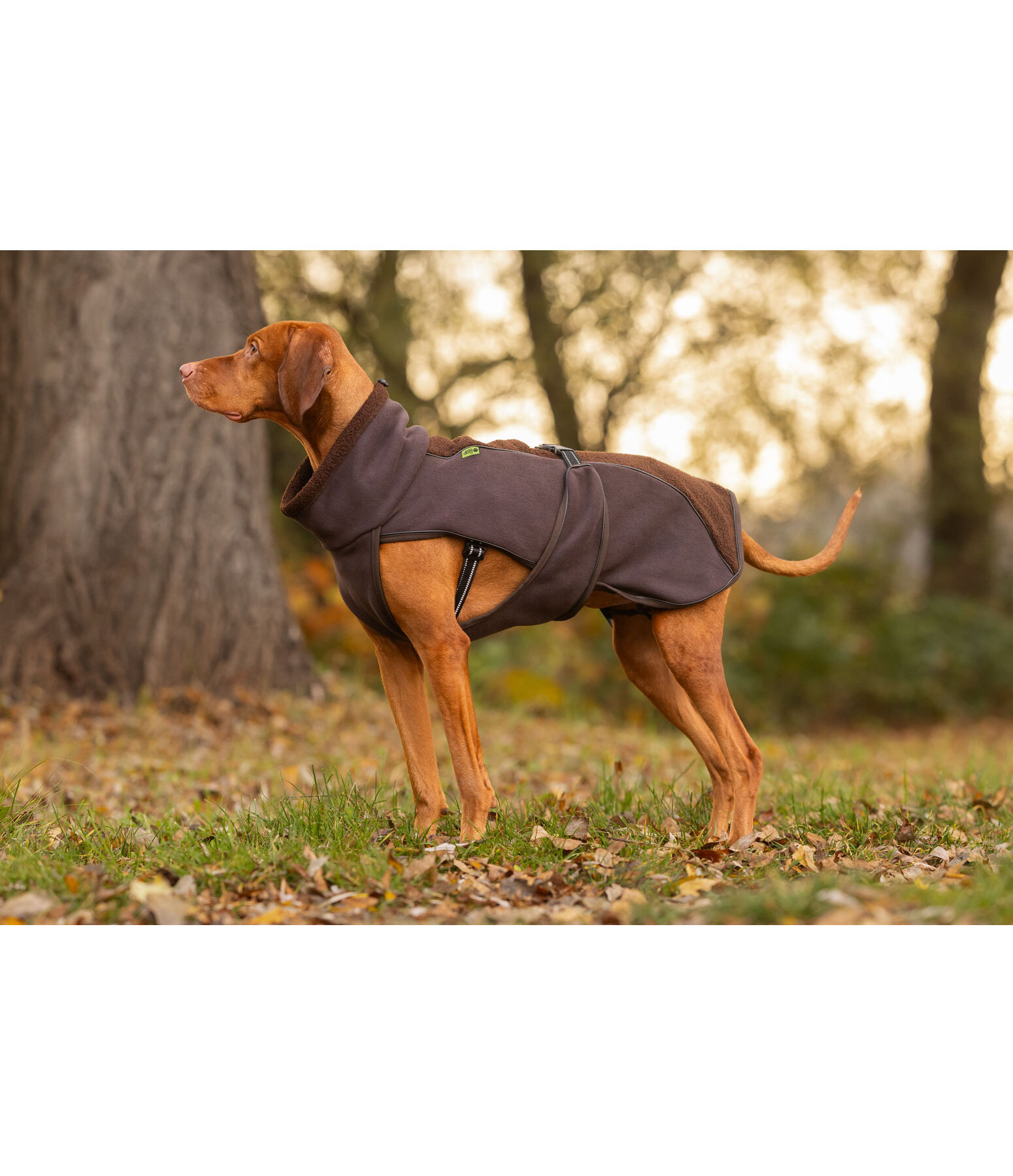 Cappotto con pelliccia sintetica per cani Frido