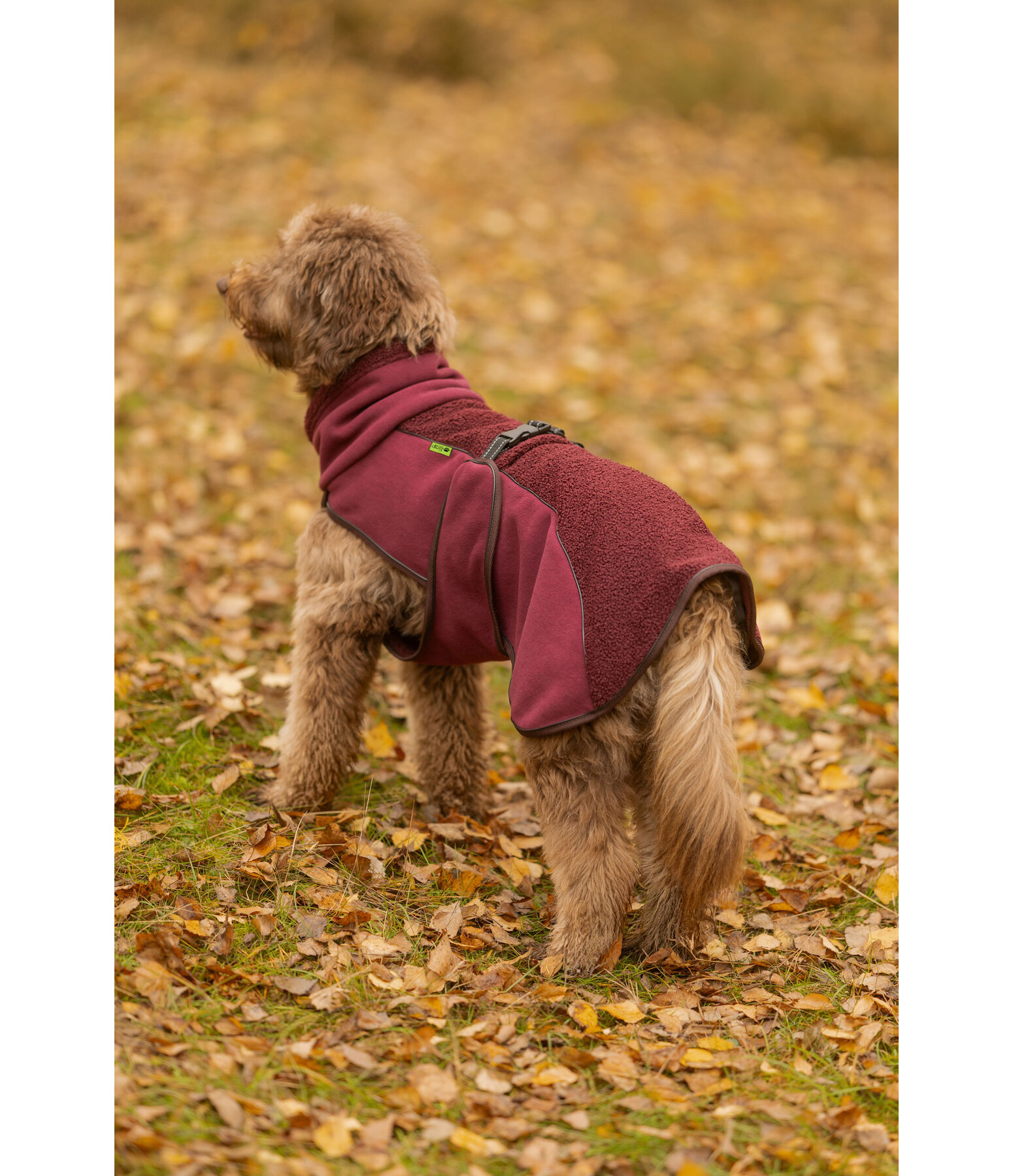 Cappotto con pelliccia sintetica per cani Frido