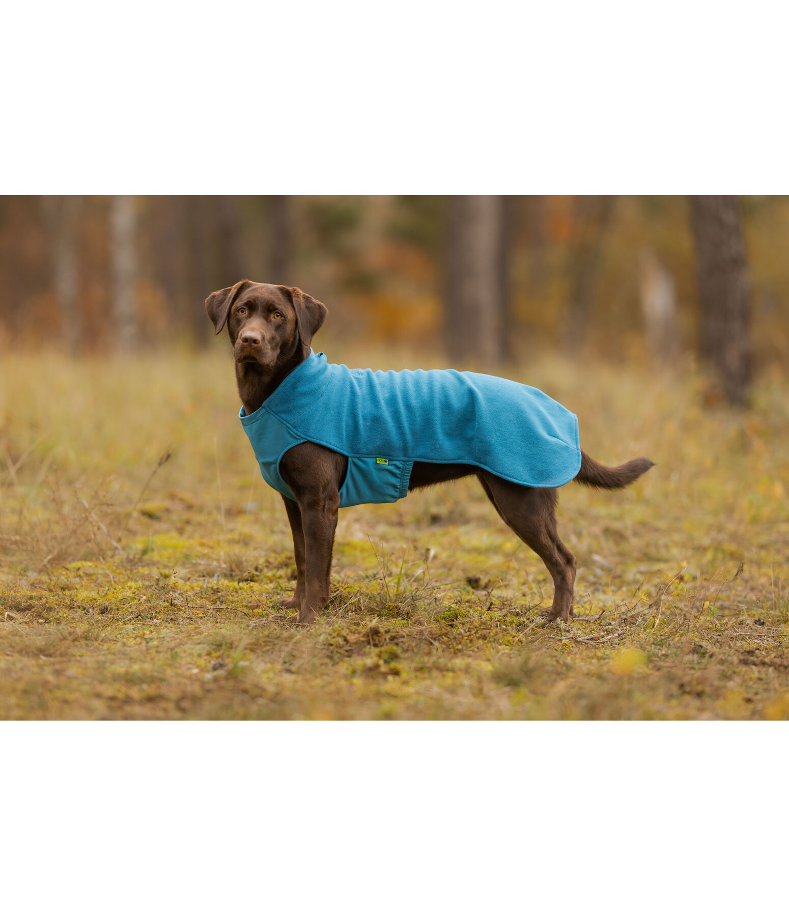 Cappotto in pile per cani Basic