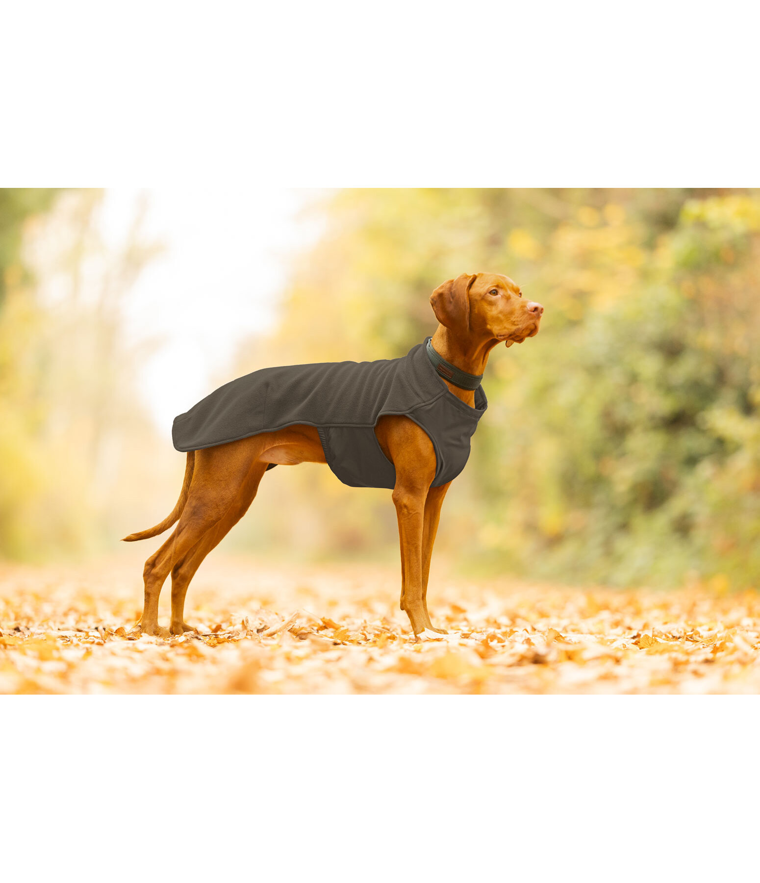 Cappotto in pile per cani Basic