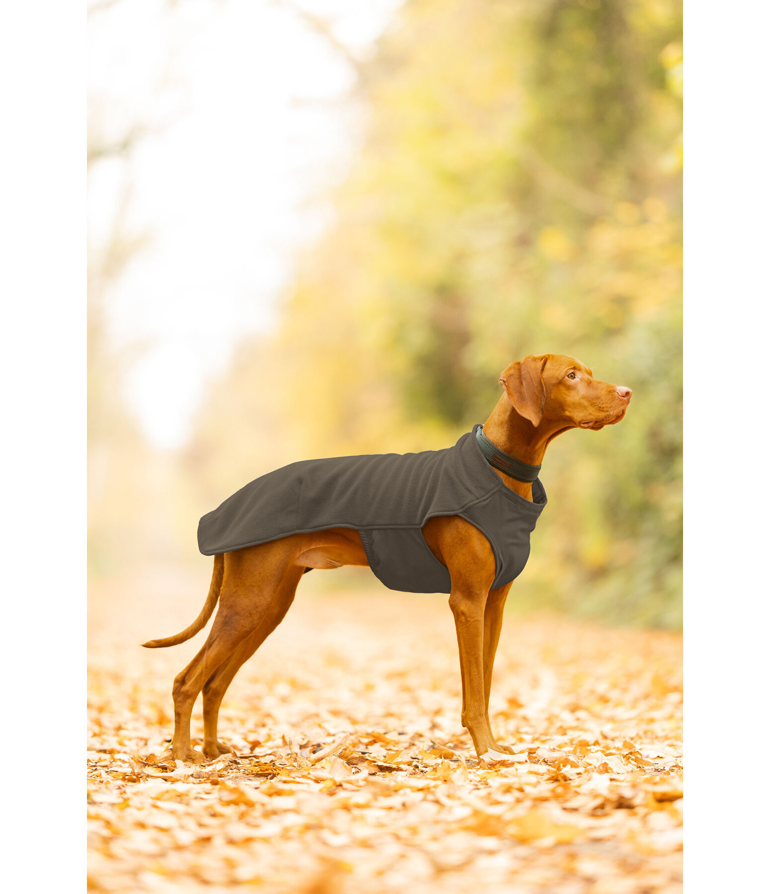 Cappotto in pile per cani Basic
