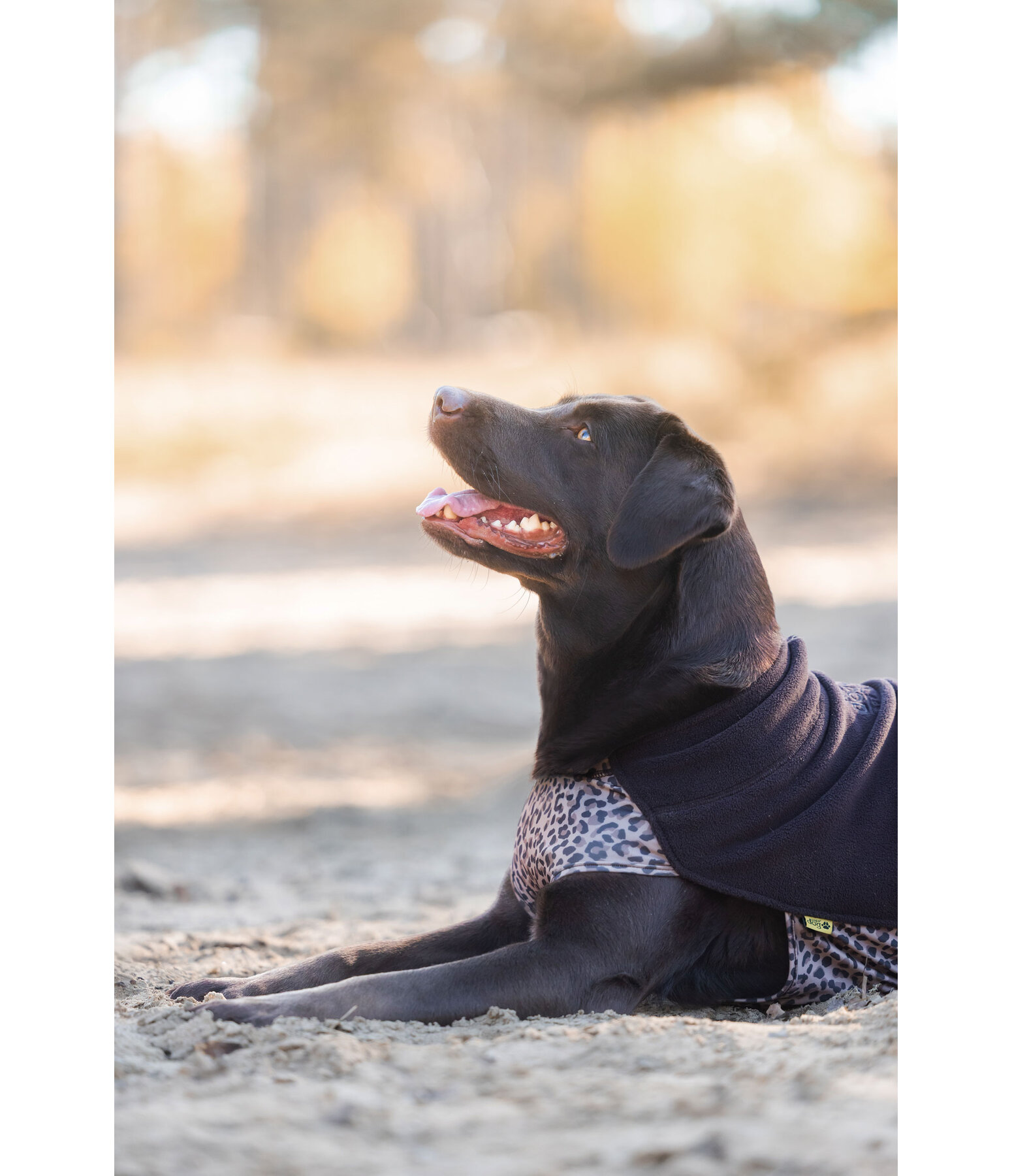 Cappotto in pile per cani Basic