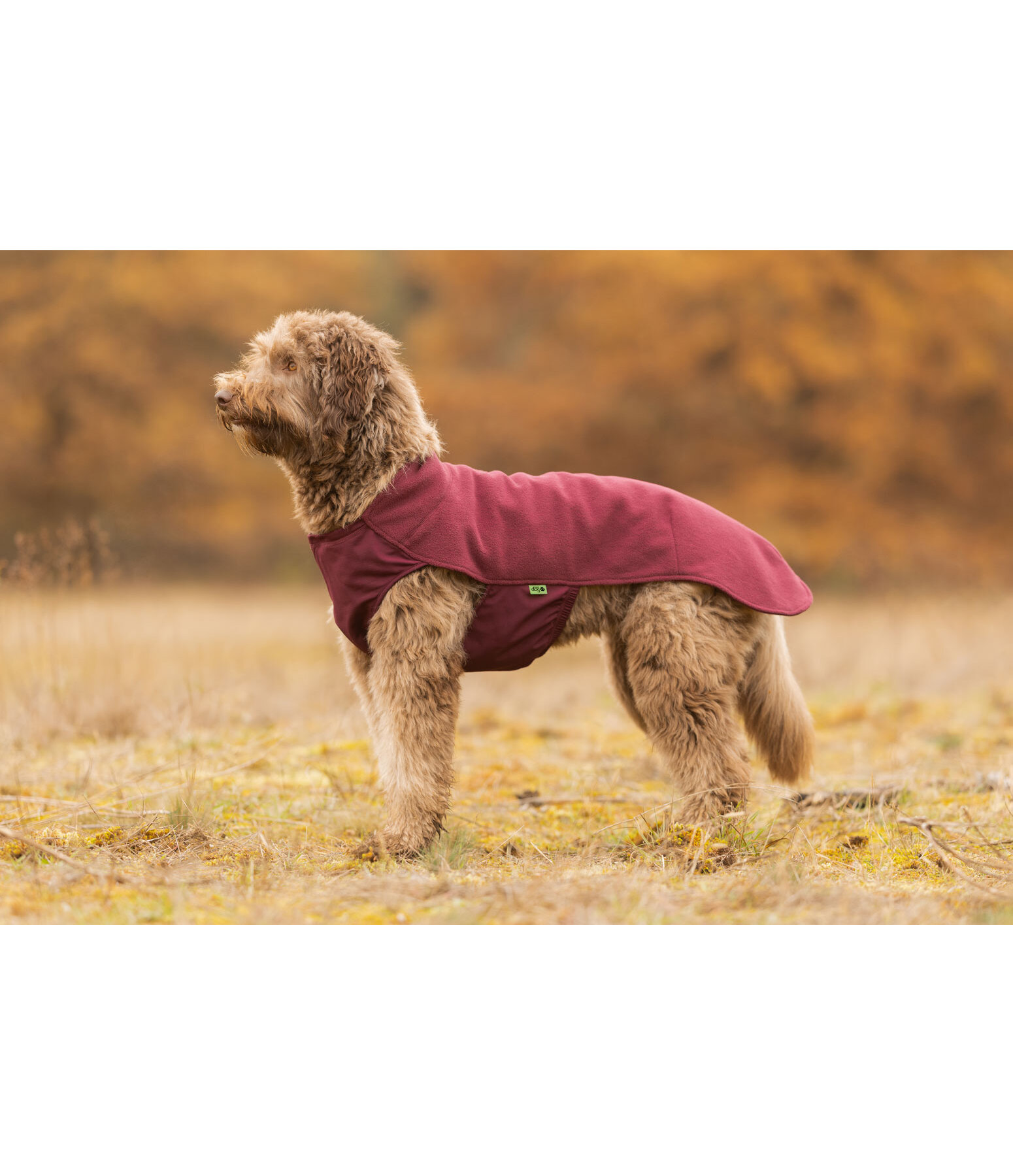 Cappotto in pile per cani Basic