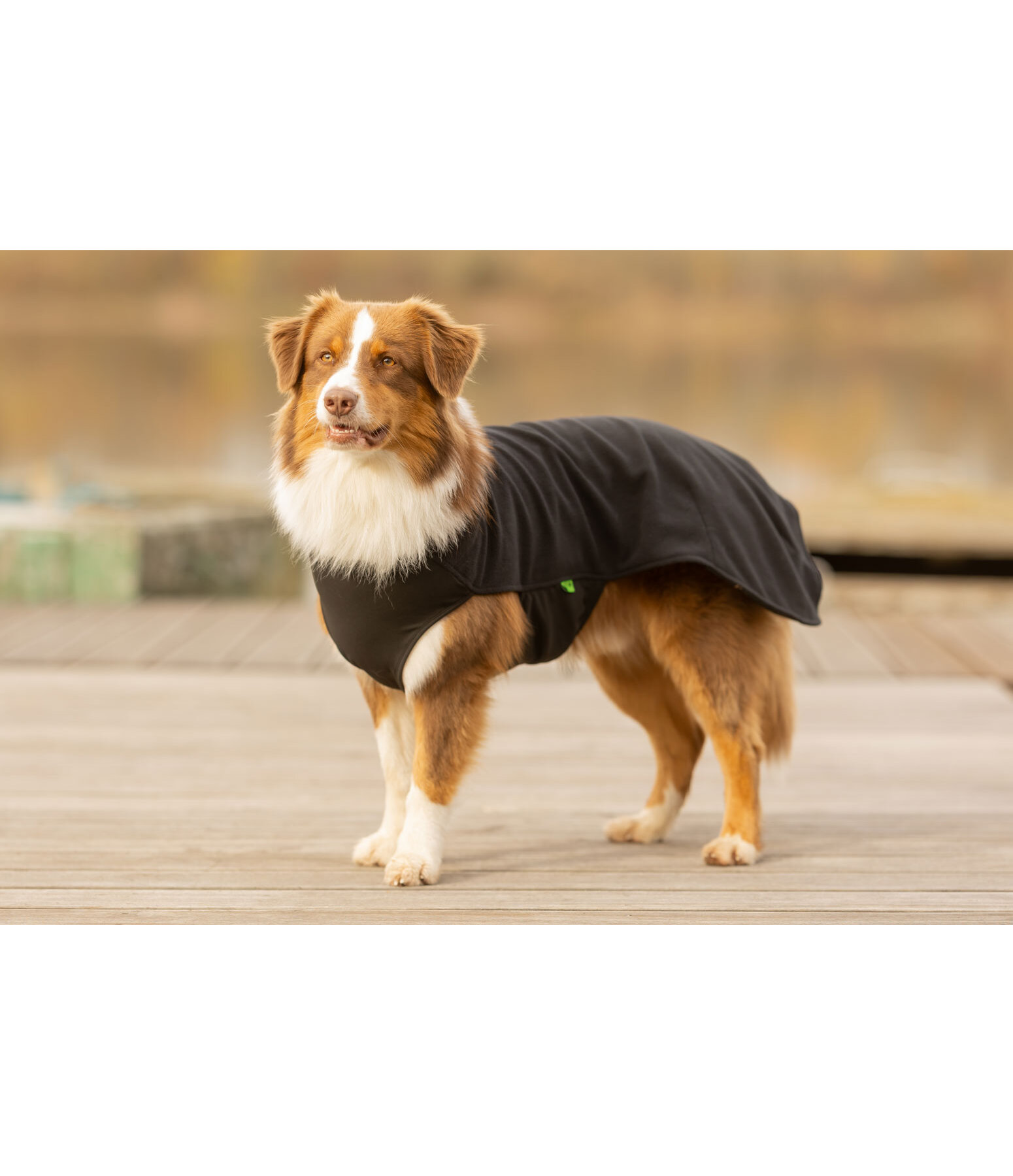 Cappotto in pile per cani Basic