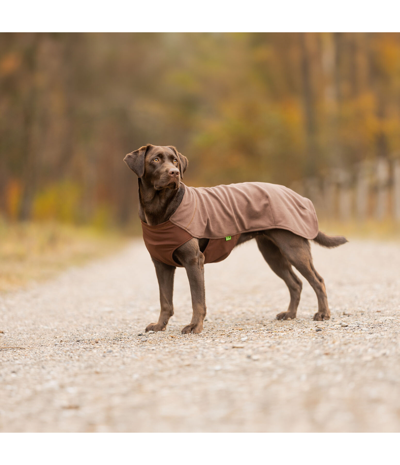 Cappotto in pile per cani Basic