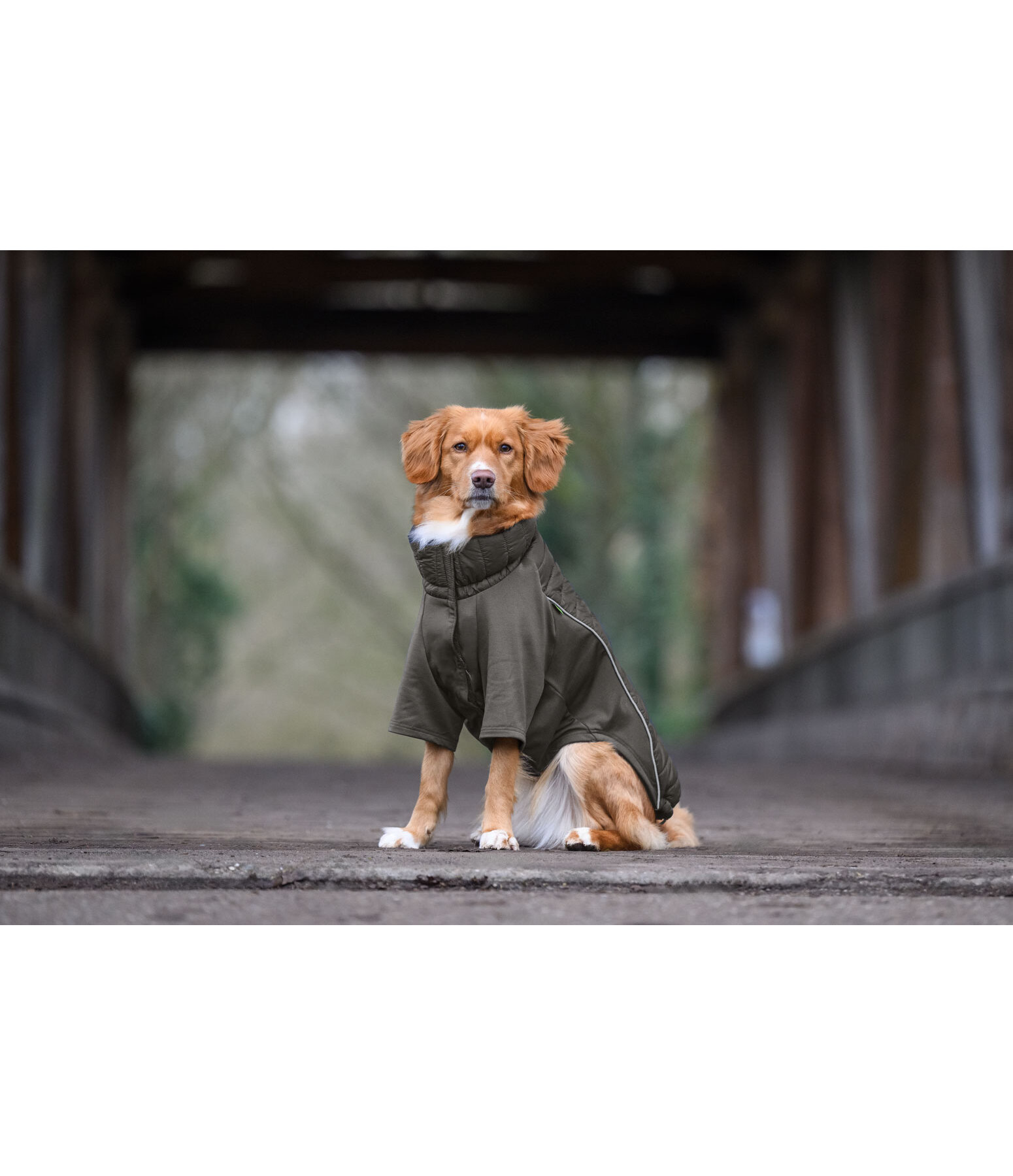Cappotto combinato Performance Stretch per cani Baldo, 160 g