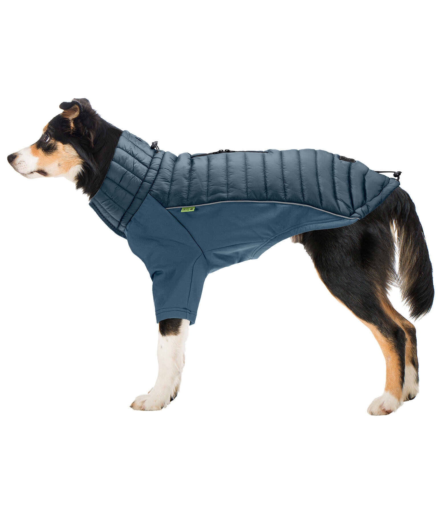 Cappotto combinato Performance Stretch per cani Baldo, 160 g