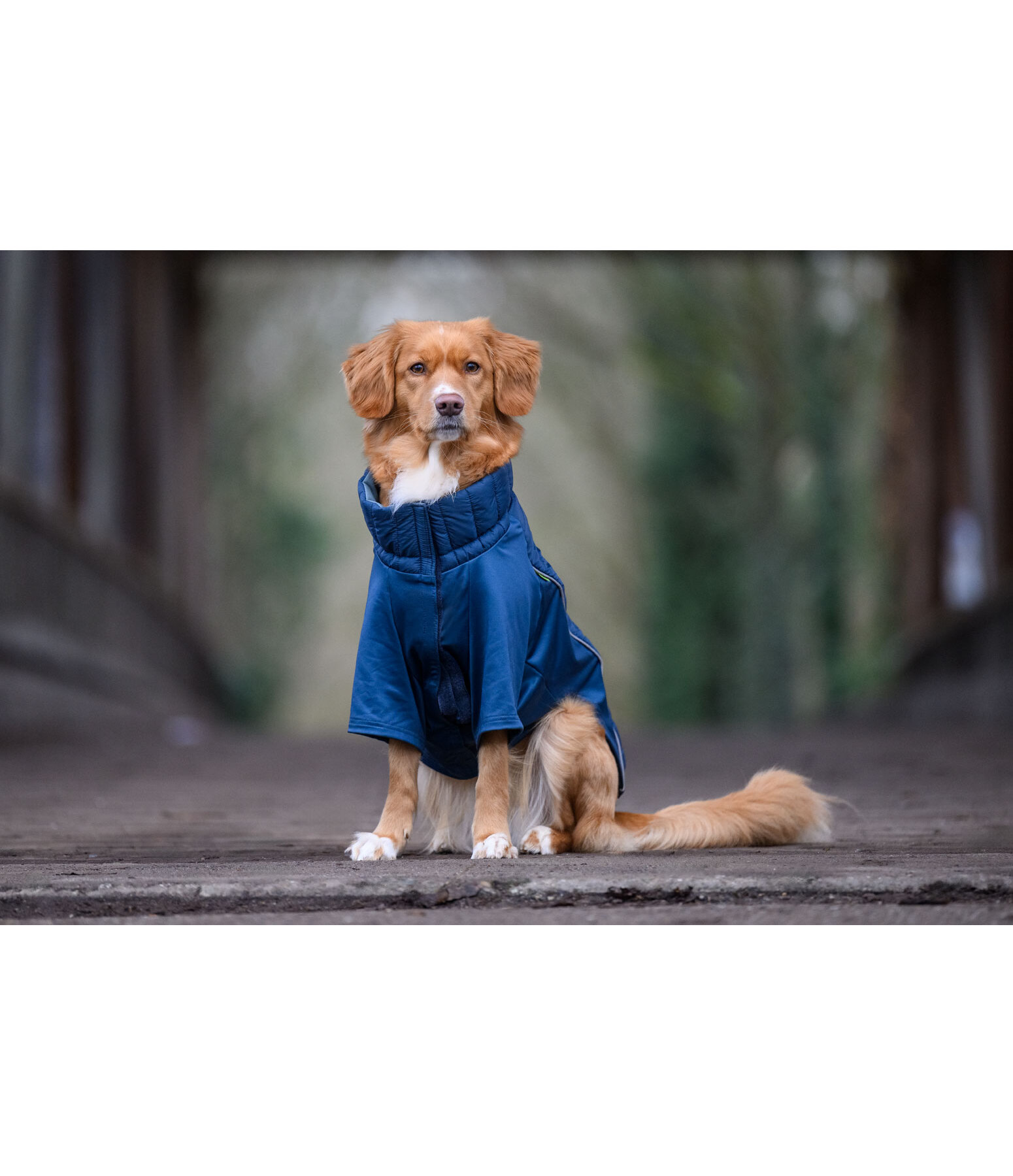 Cappotto combinato Performance Stretch per cani Baldo, 160 g
