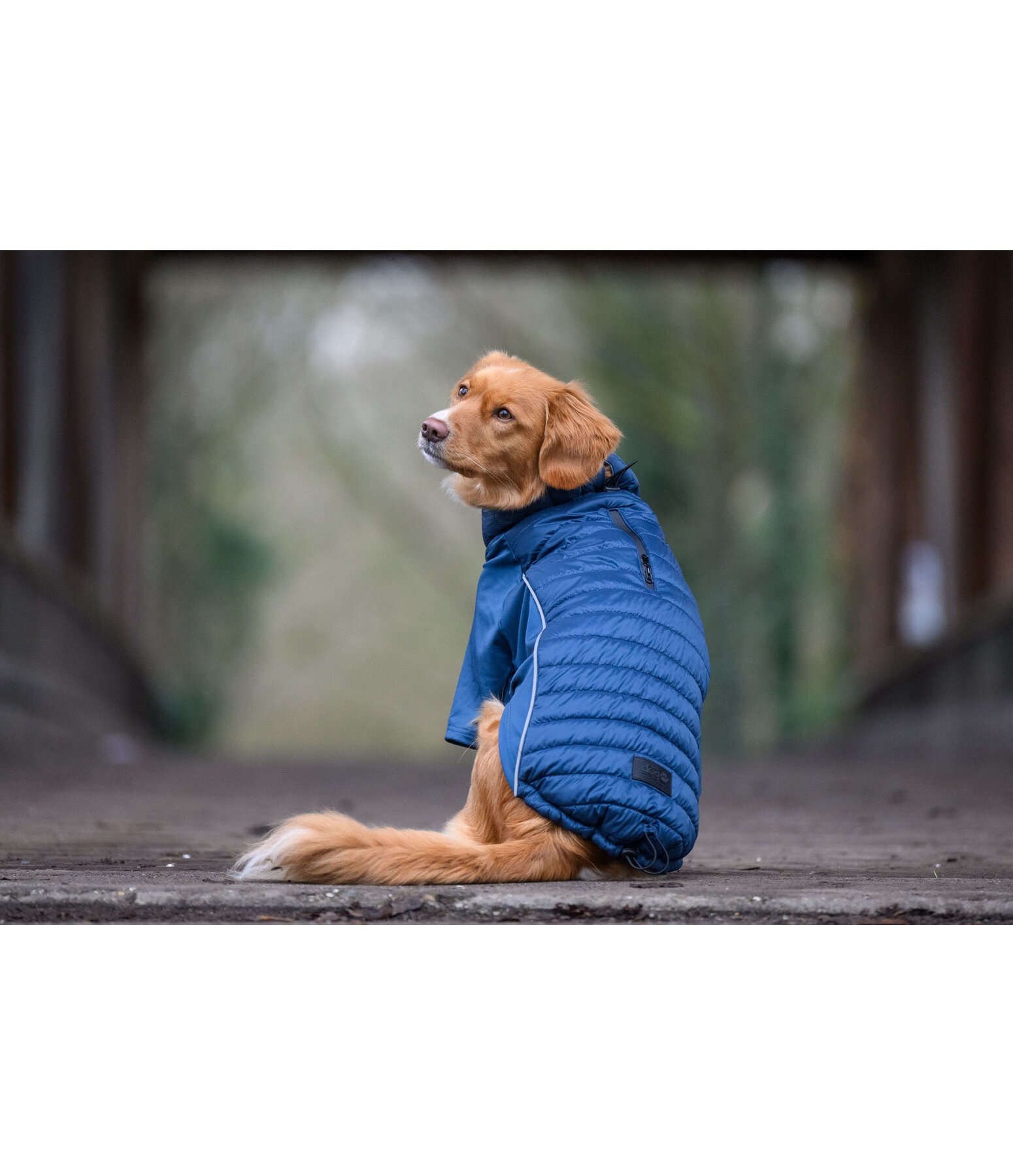 Cappotto combinato Performance Stretch per cani Baldo, 160 g