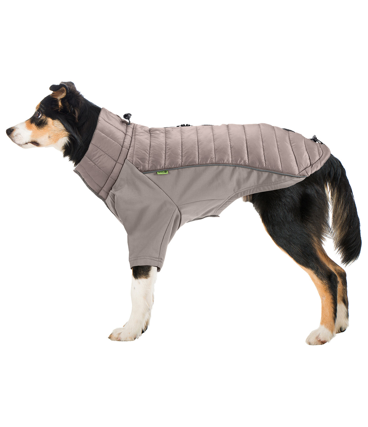 Cappotto combinato Performance Stretch per cani Baldo, 160 g