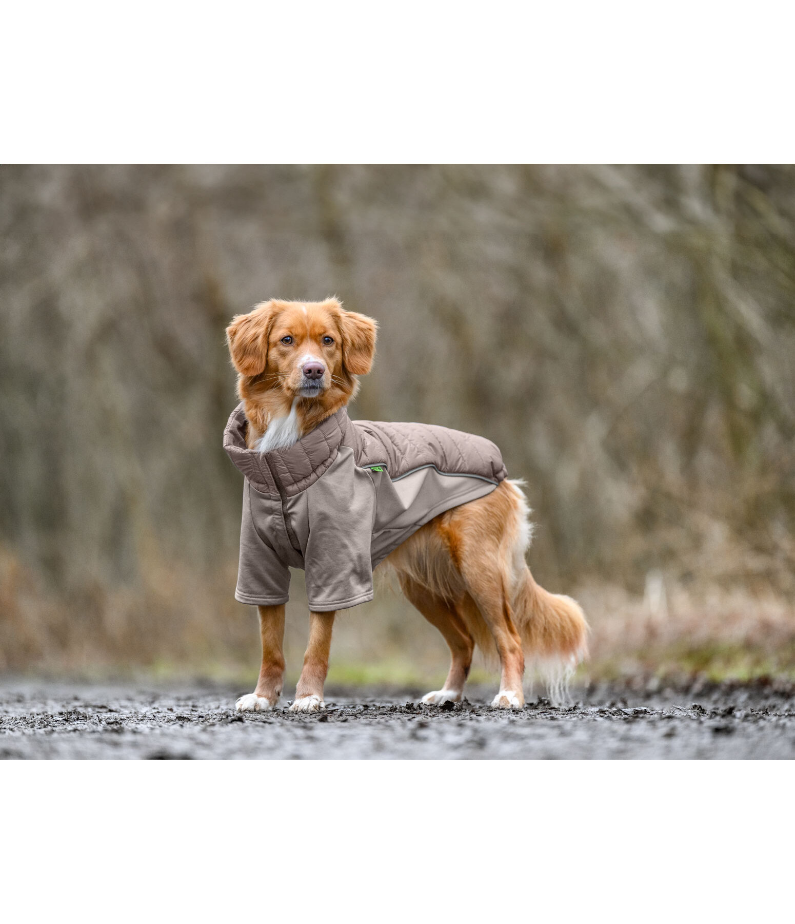 Cappotto combinato Performance Stretch per cani Baldo, 160 g