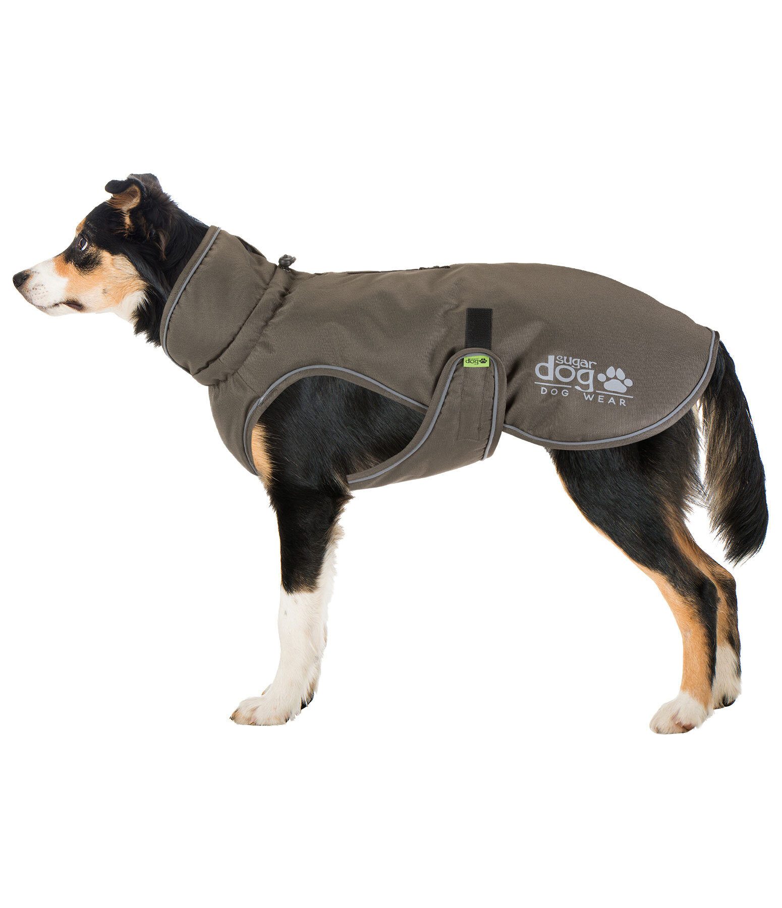 Cappotto invernale per cani Archie Snow Drift, 200 g