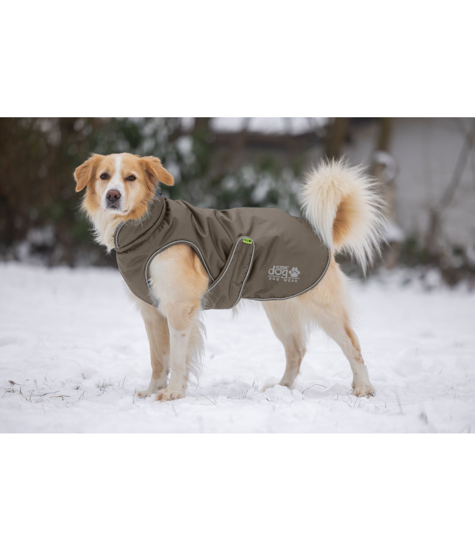 Cappotto invernale per cani Archie Snow Drift, 200 g