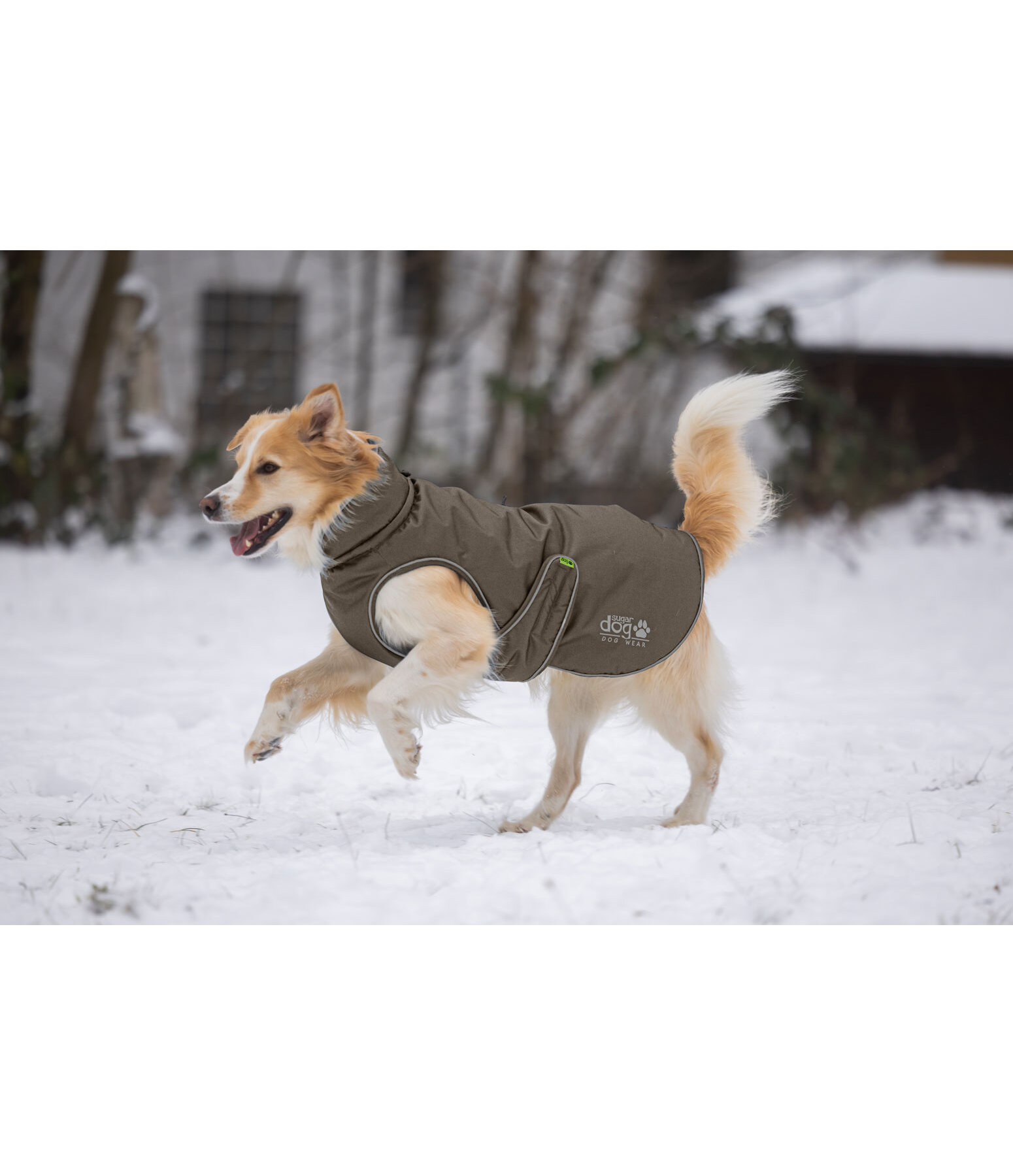 Cappotto invernale per cani Archie Snow Drift, 200 g