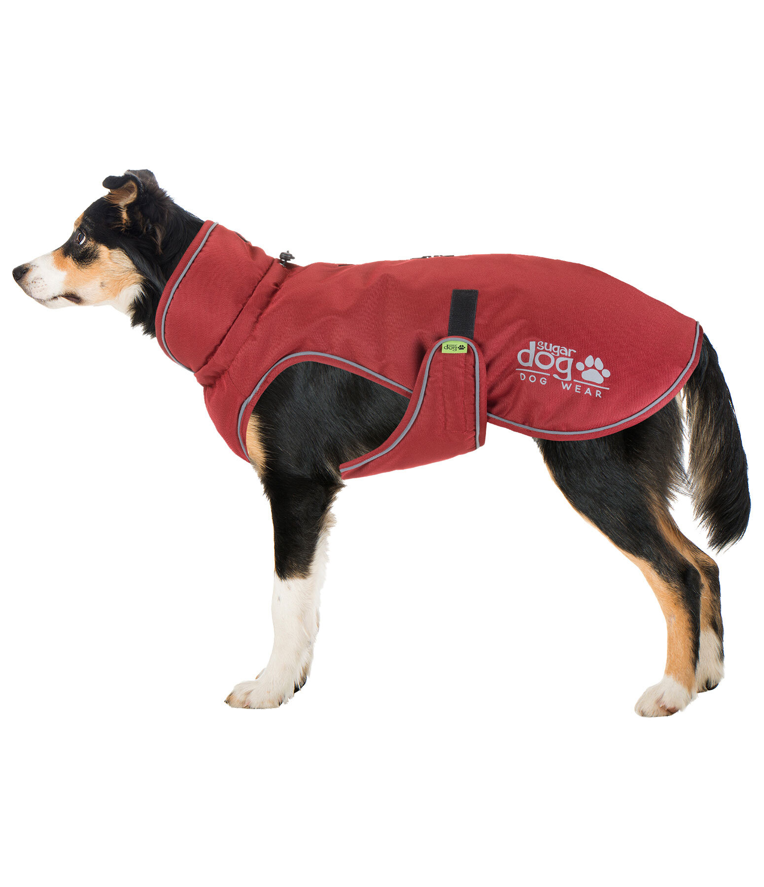 Cappotto invernale per cani Archie Snow Drift, 200 g