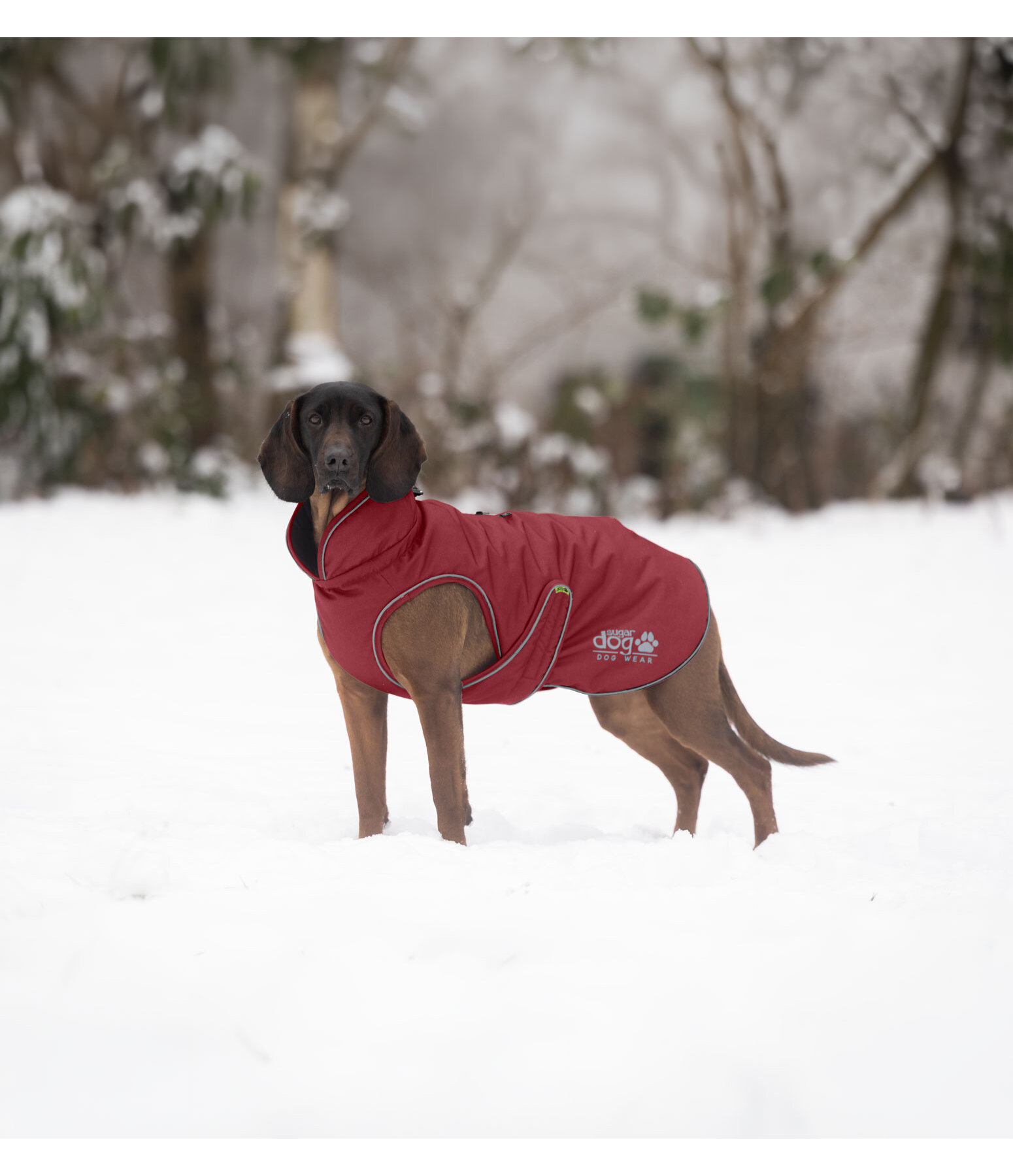 Cappotto invernale per cani Archie Snow Drift, 200 g