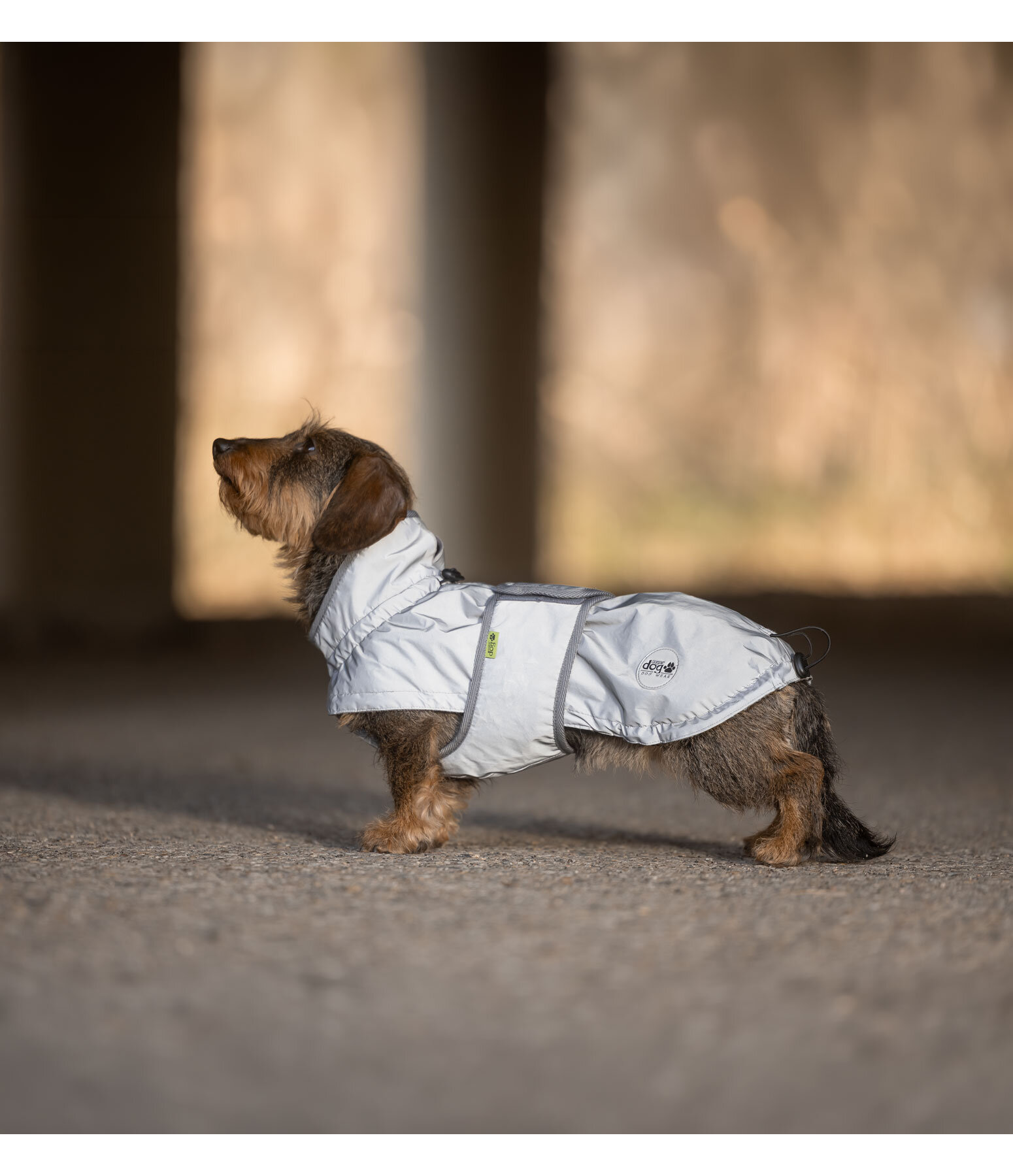 Cappotto riflettente con pile per bassotti George