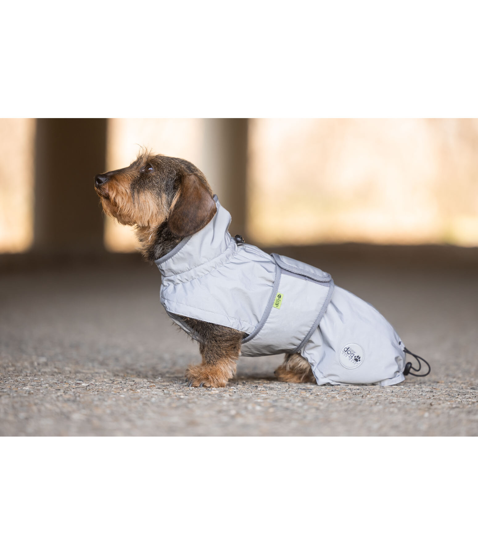 Cappotto riflettente con pile per bassotti George