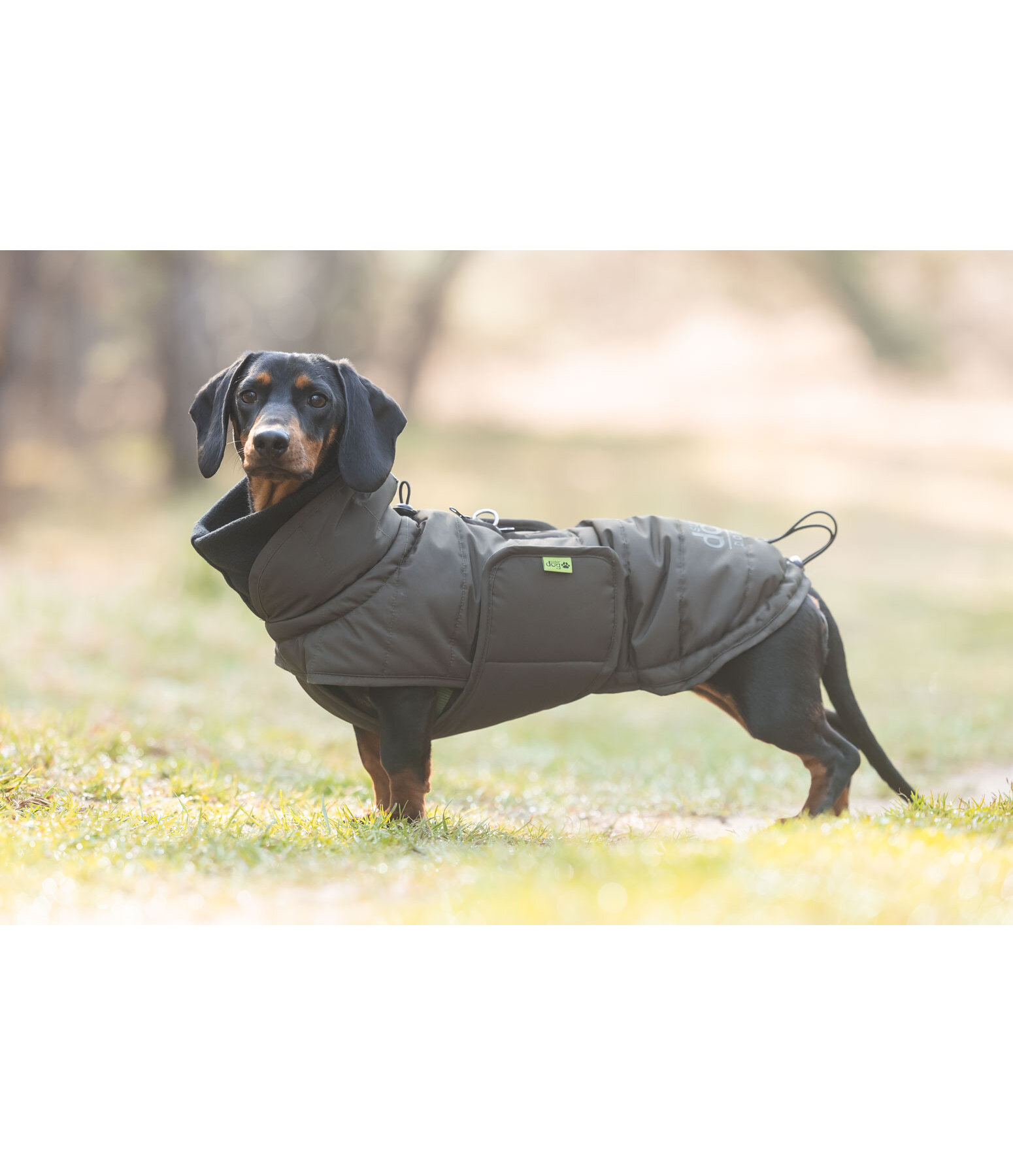 Cappotto invernale per bassotti Henry, 200 g