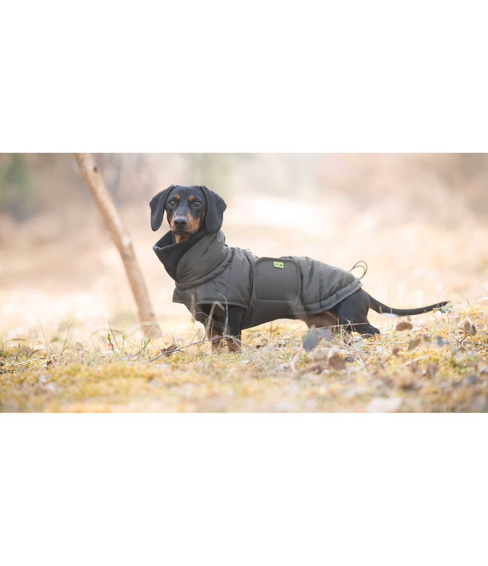 Cappotto invernale per bassotti Henry, 200 g