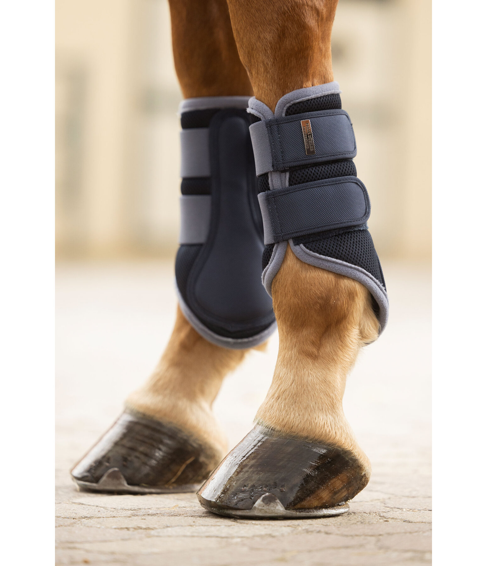 Stinchiere funzionali Swiss Design, anteriori