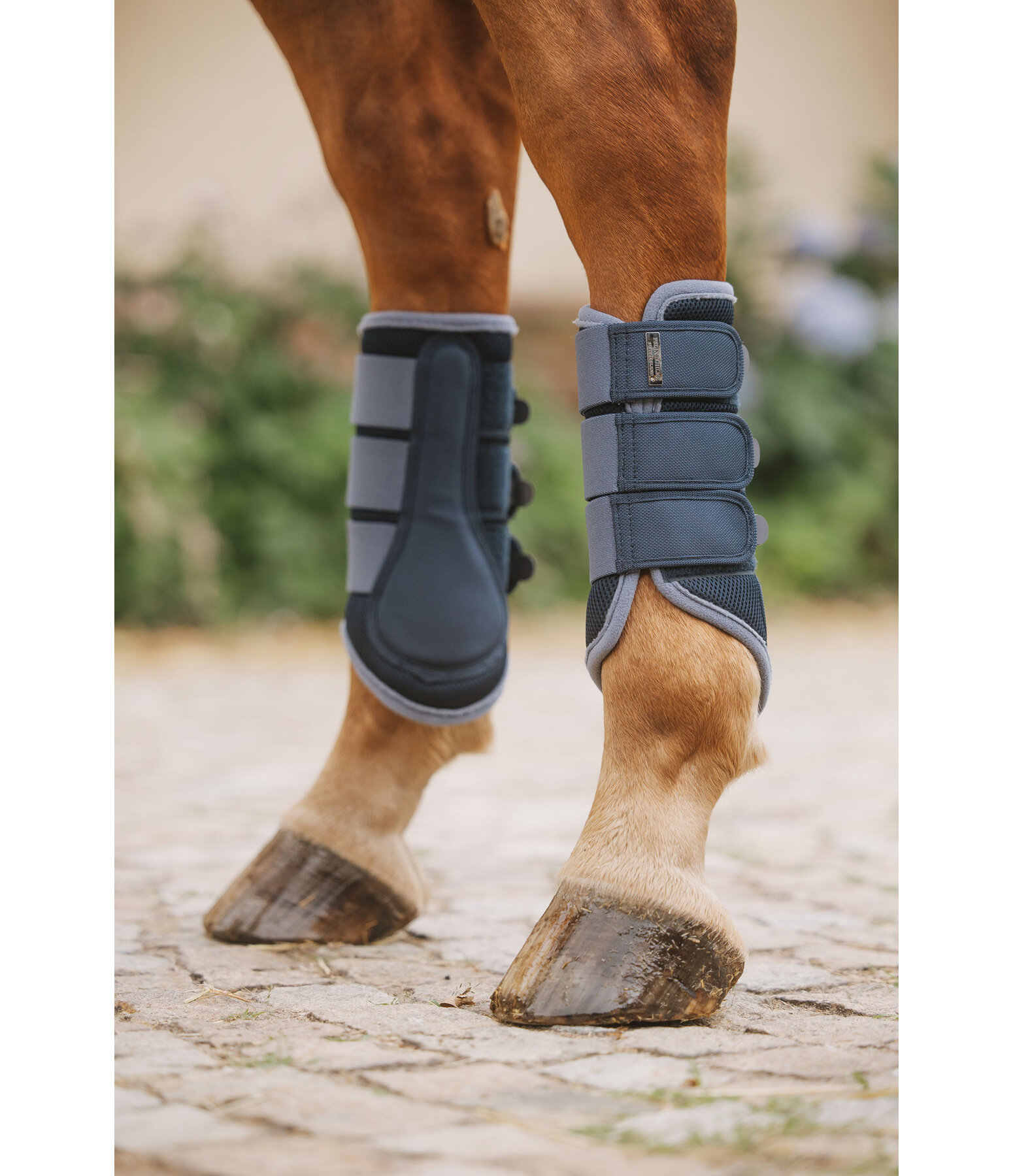 Stinchiere funzionali Swiss Design, posteriori